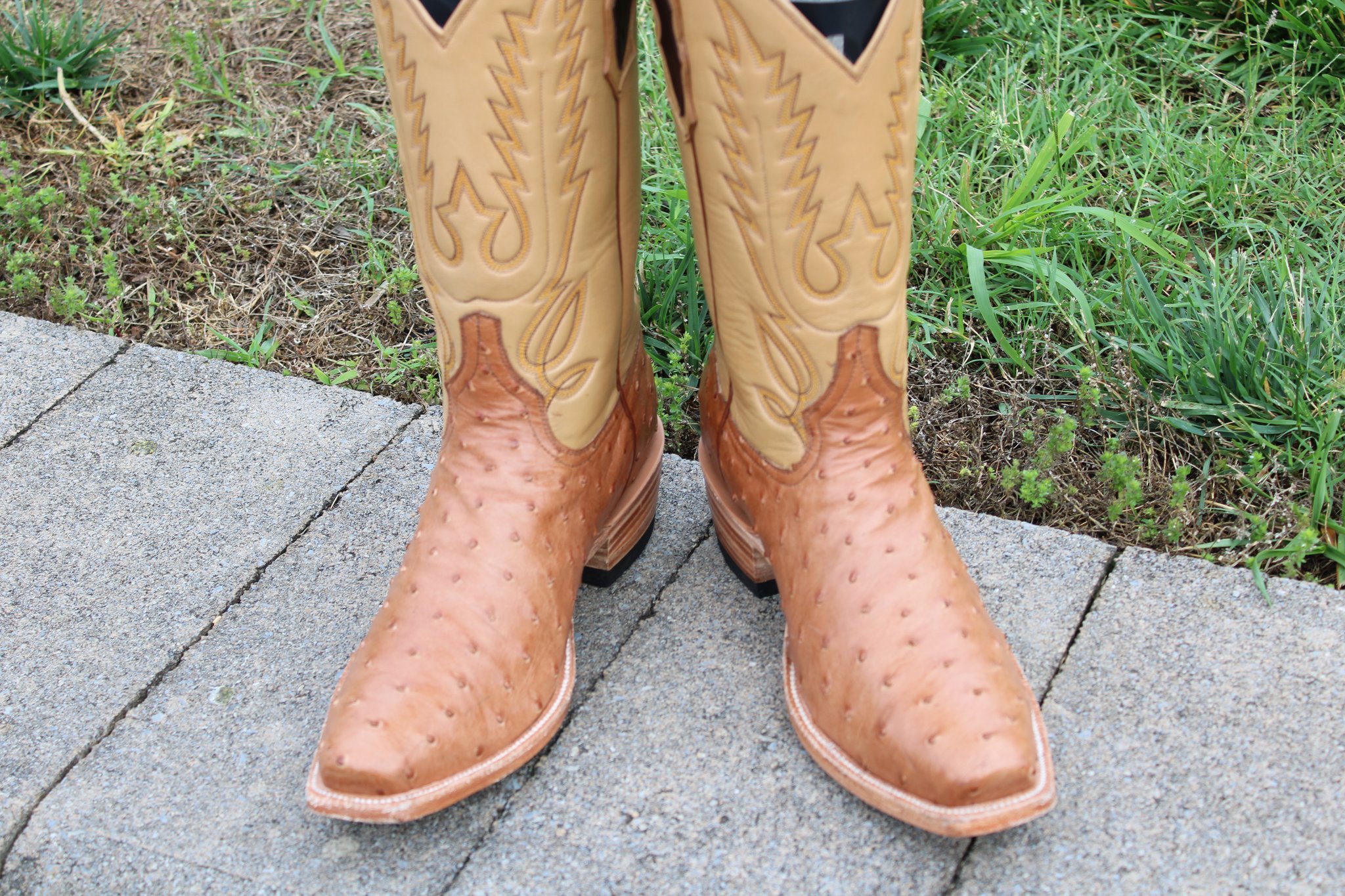 Ostrich Full Quill cut 4