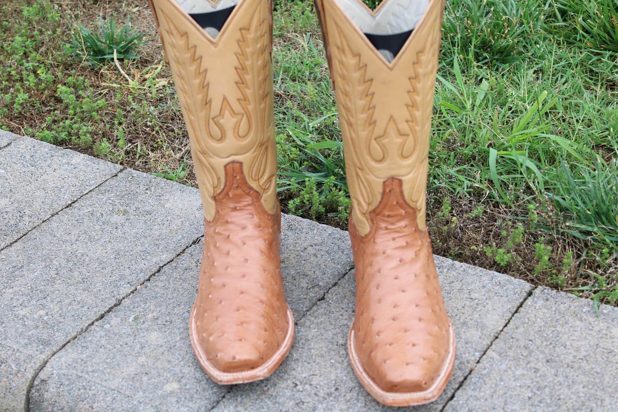 Santana's 6 Santana's Mocha Ostrich 9.5 D