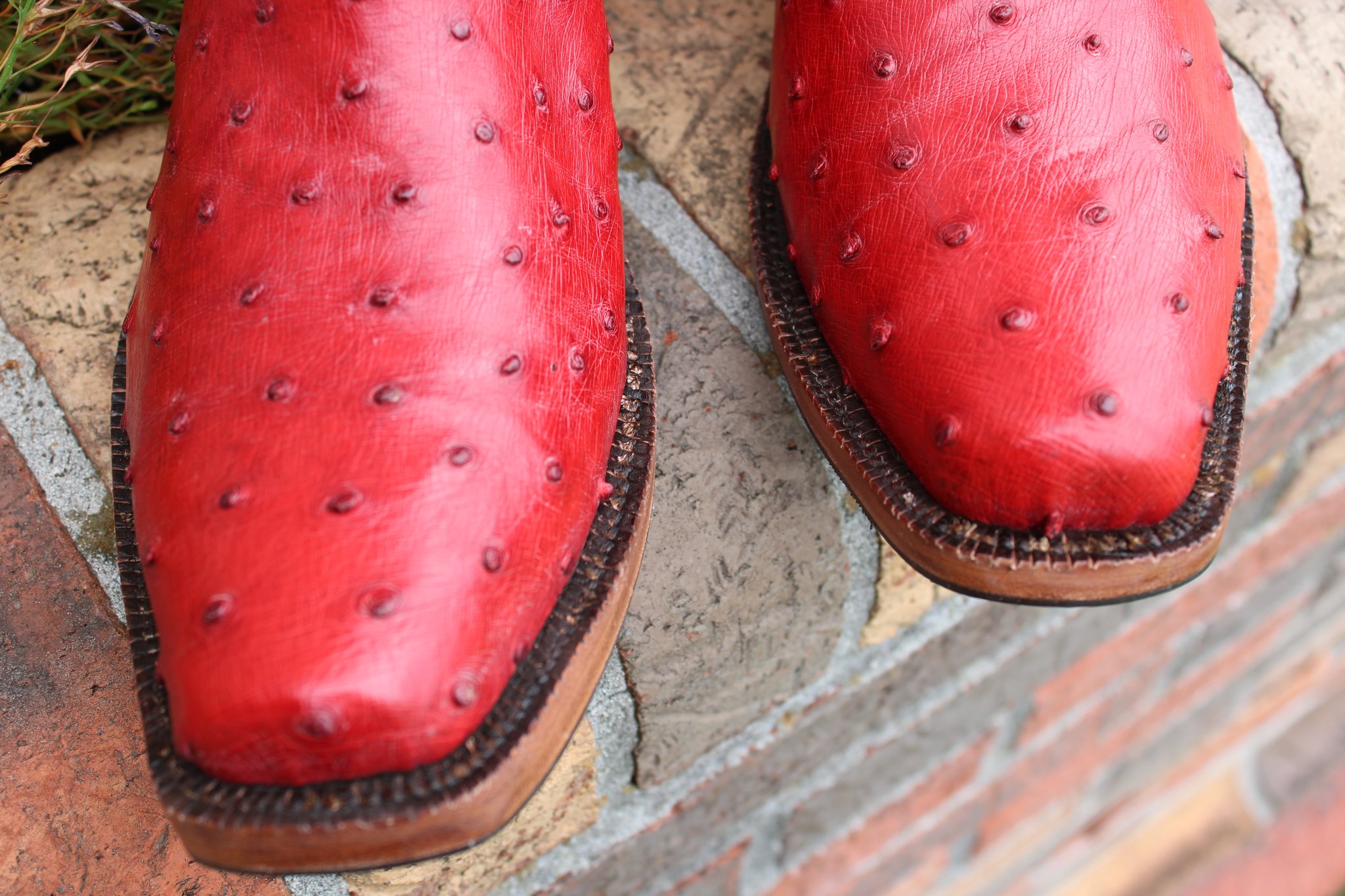 Santana's 9 Santana's Nebraska Ostrich 9.5 D