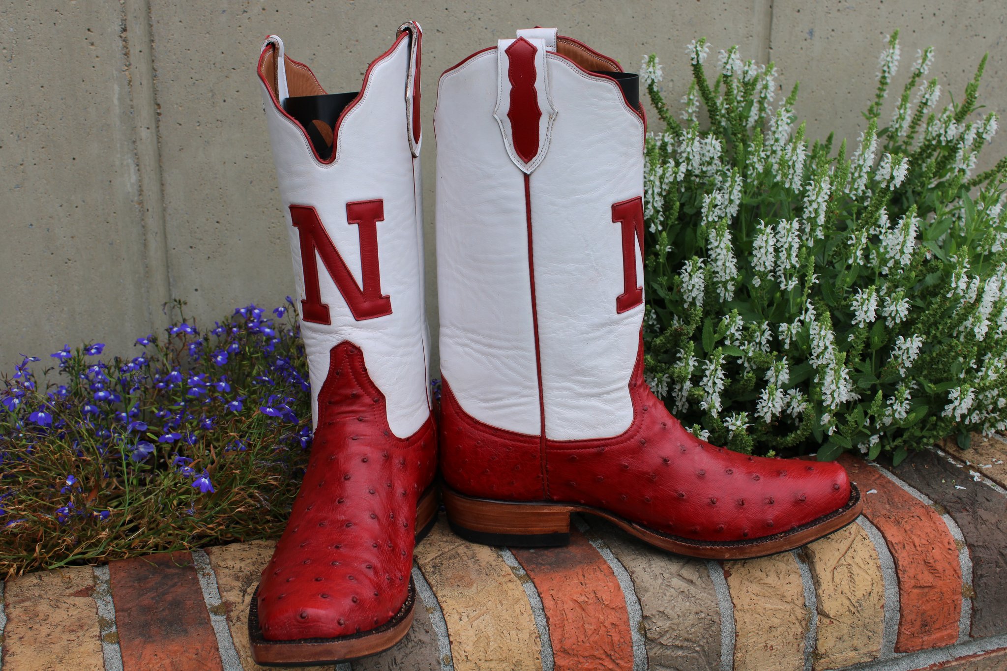 Santana's 9 Santana's Nebraska Ostrich 9.5 D