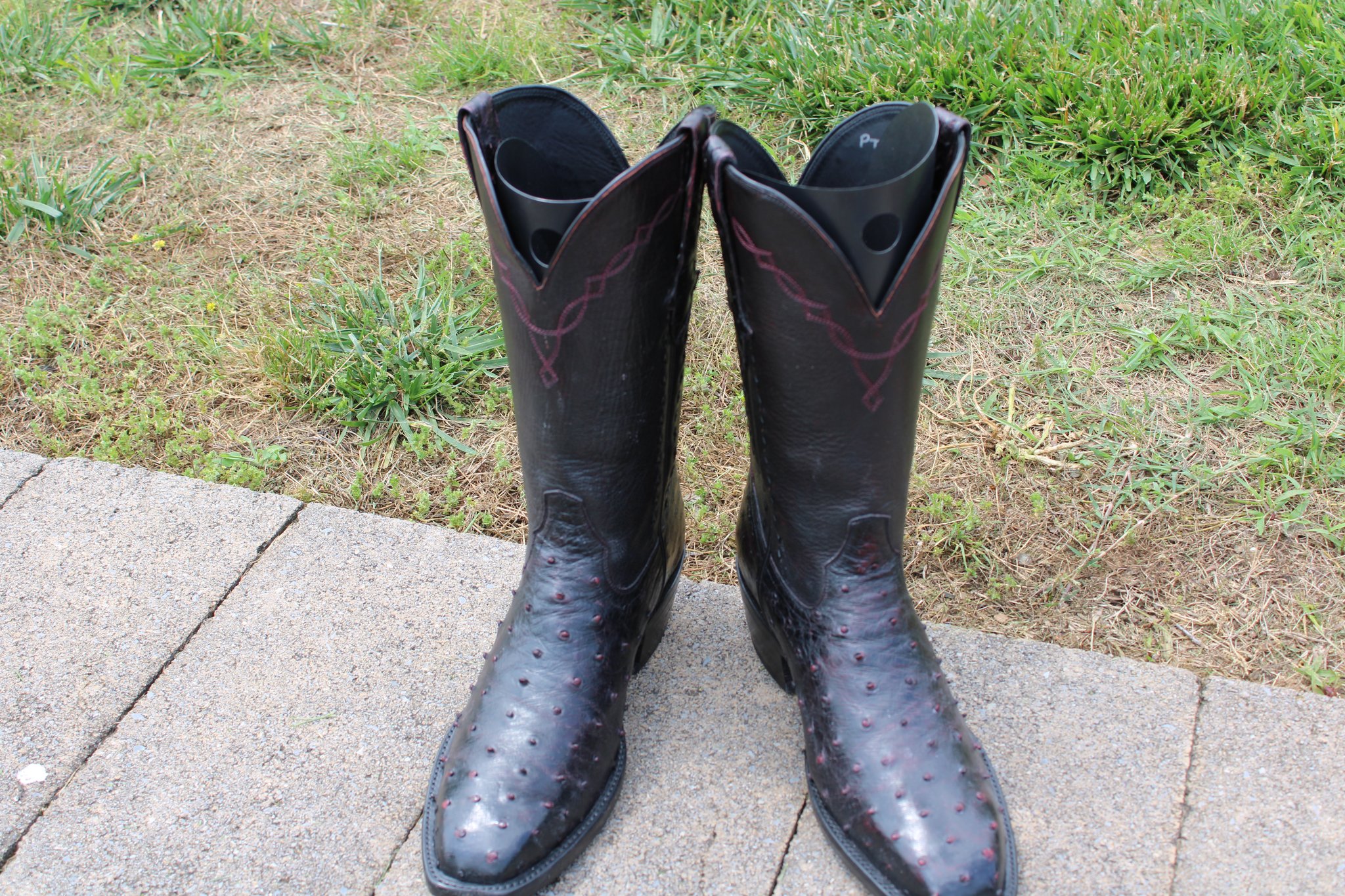 Ostrich Full Quill cut 3