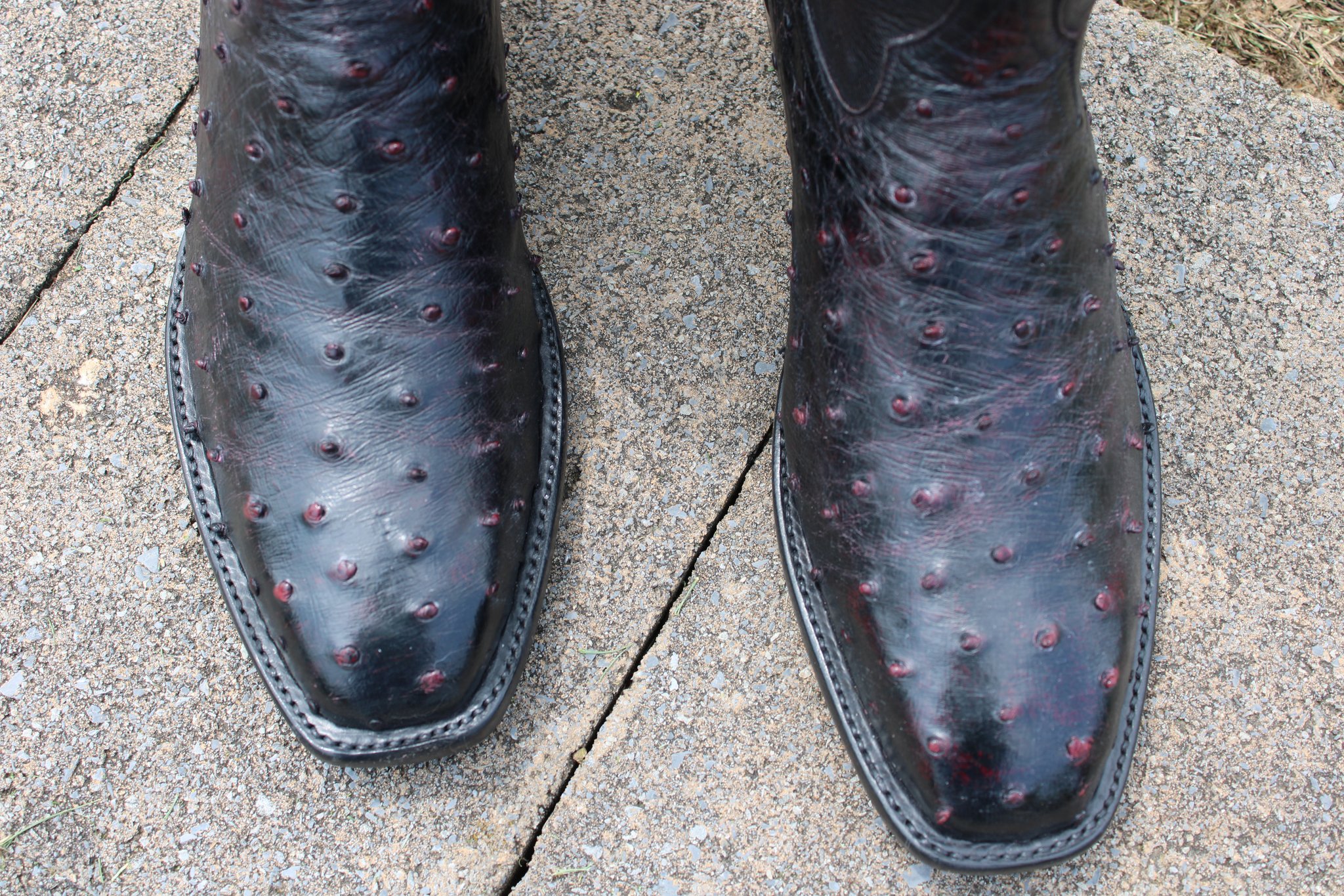 Stallion Boot Company 14 Stallion Black Cherry FQ Ostrich 9.5 D
