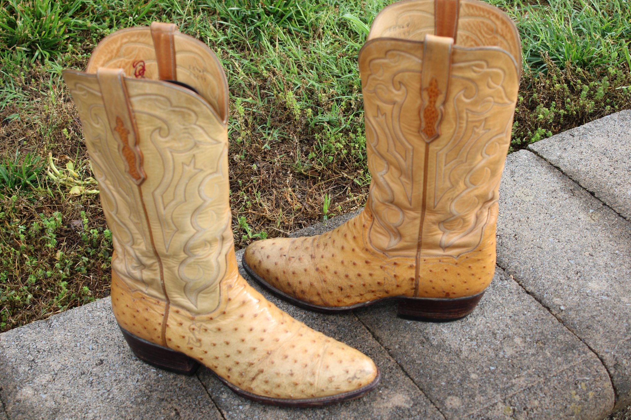 T.O. Stanley T.O. Stanley Men's Butterscotch Full Quill Ostrich Cowboy Boots
