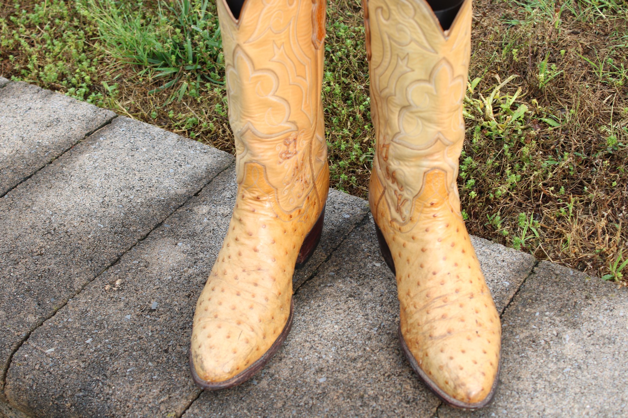T.O. Stanley T.O. Stanley Men's Butterscotch Full Quill Ostrich Cowboy Boots