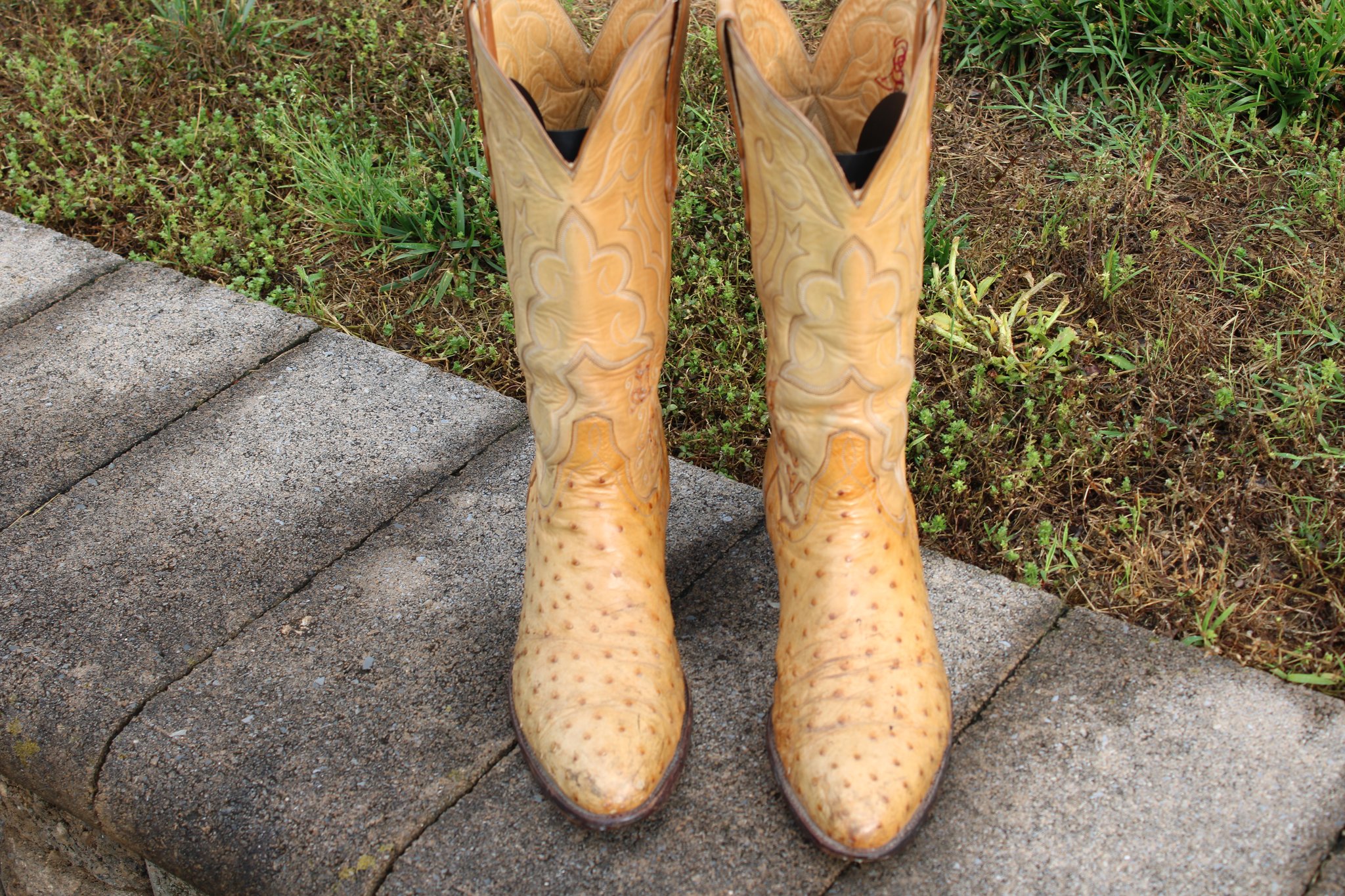 T.O. Stanley T.O. Stanley Men's Butterscotch Full Quill Ostrich Cowboy Boots