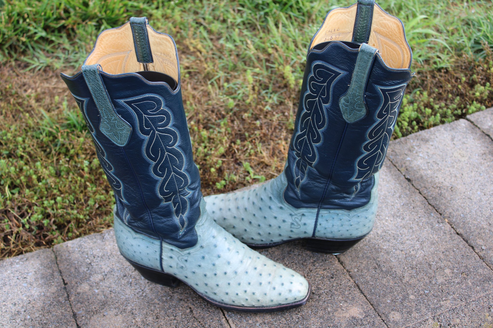 T.O. Stanley Blue French Toe FQ Ostrich
