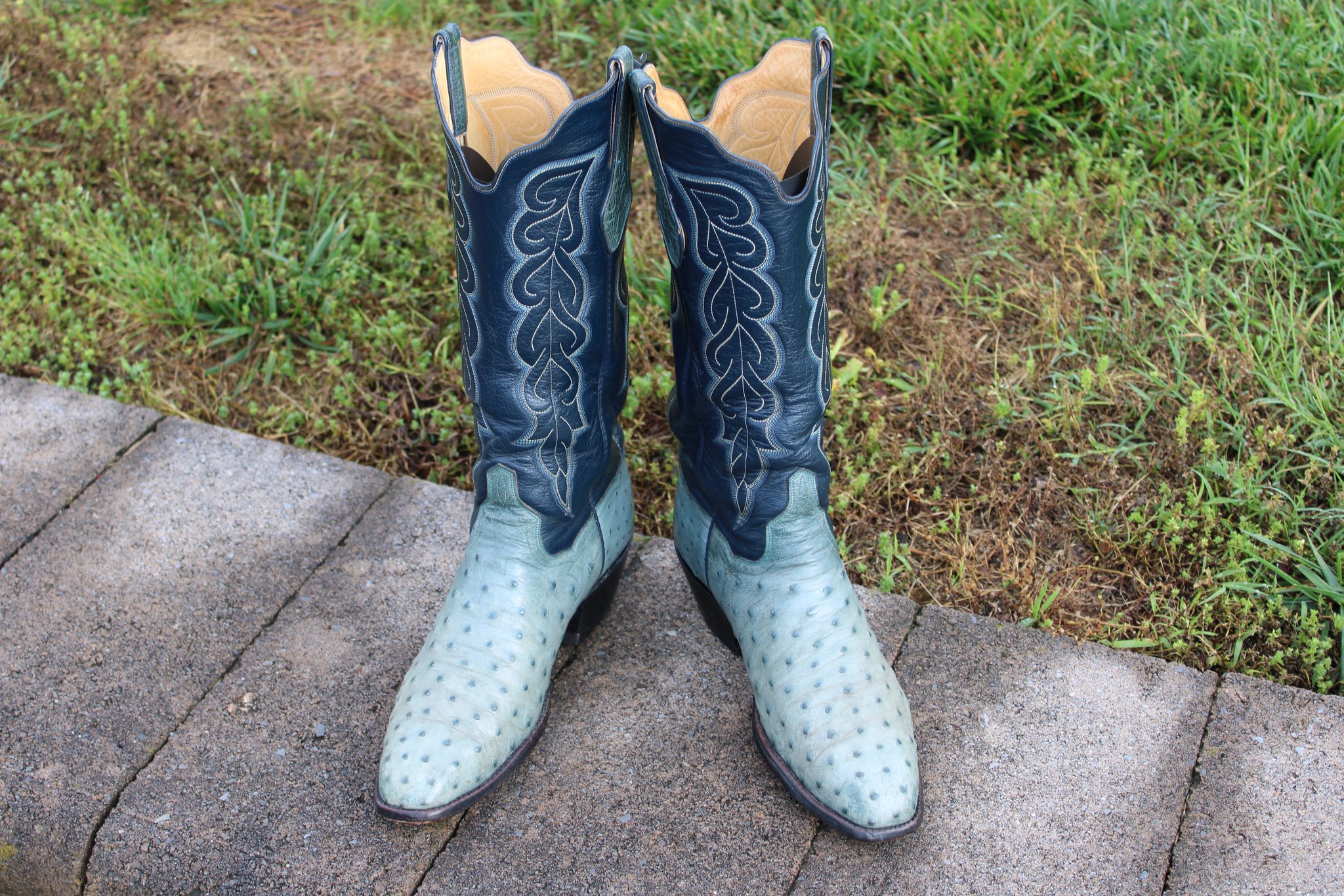 T.O. Stanley Blue French Toe FQ Ostrich