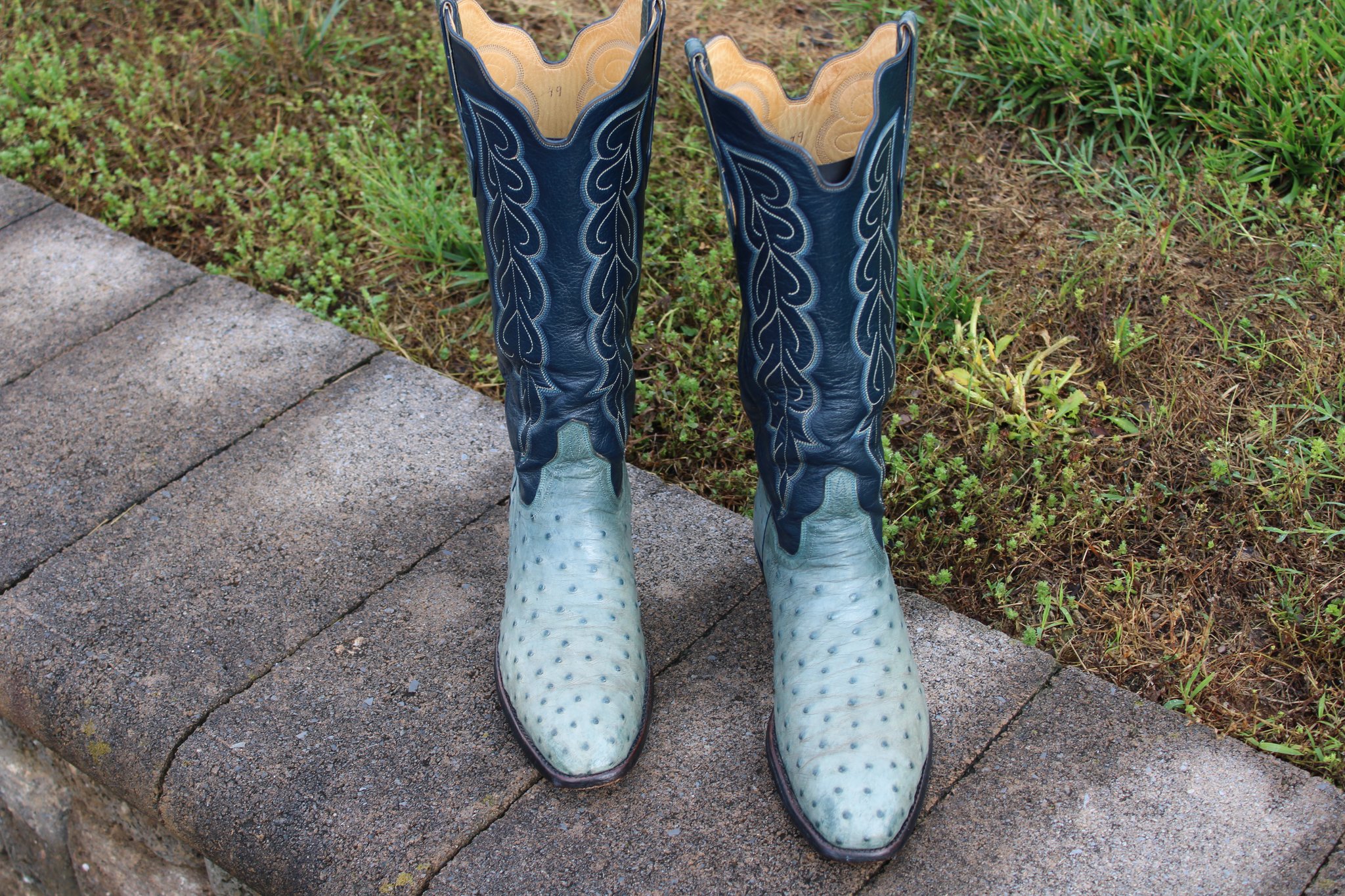 T.O. Stanley Blue French Toe FQ Ostrich