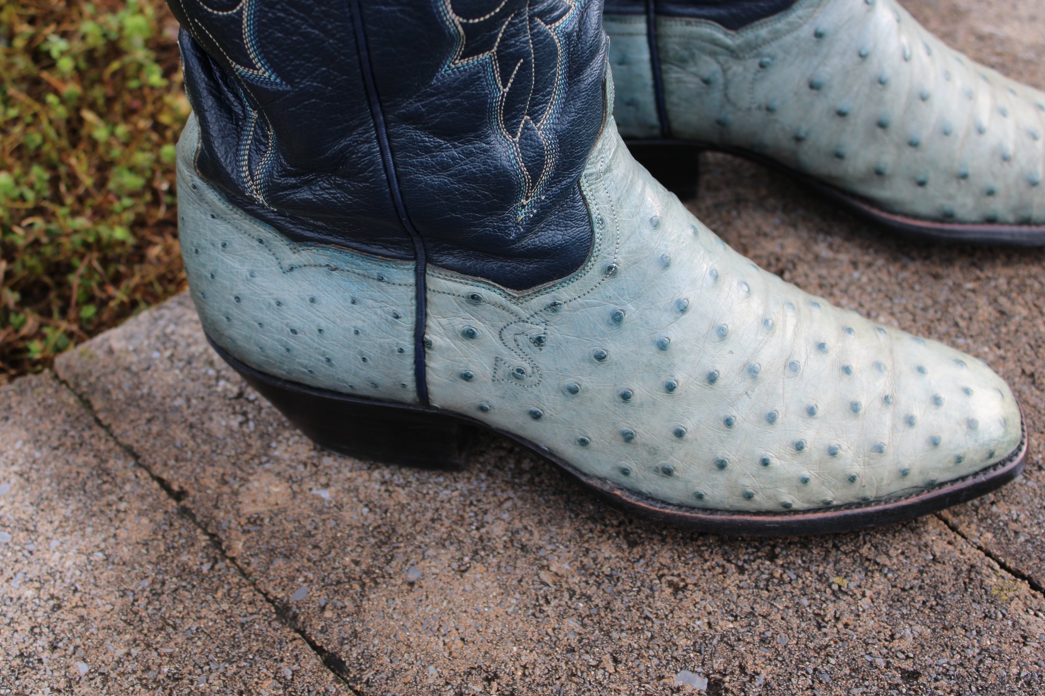 T.O. Stanley Blue French Toe FQ Ostrich