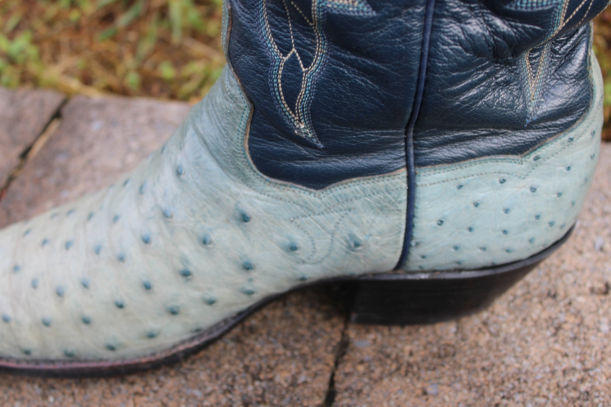 T.O. Stanley Blue French Toe FQ Ostrich