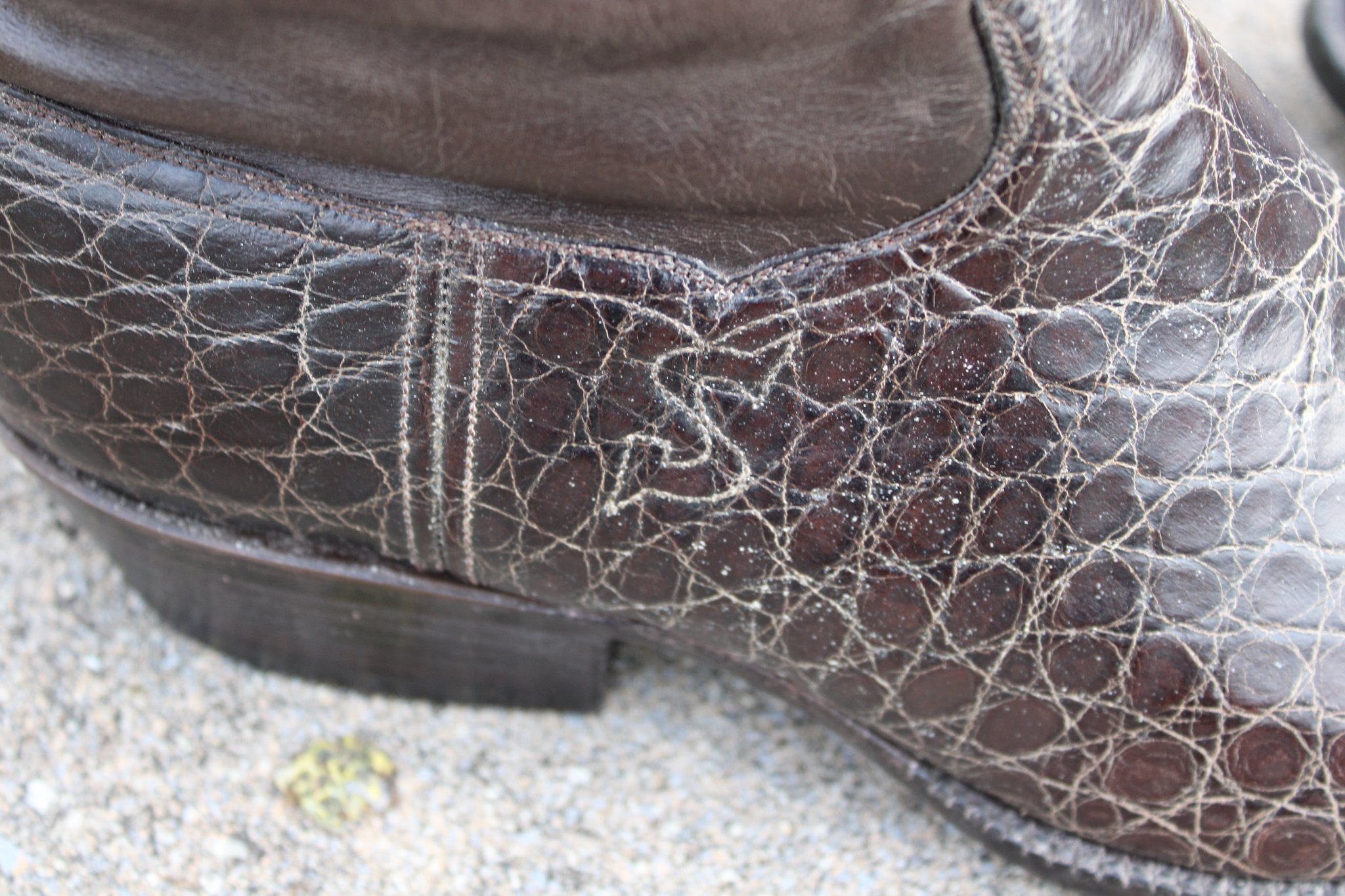 T.O. Stanley T.O. Stanley Chocolate Alligator Belly with Buffalo Calfskin shafts and conchos