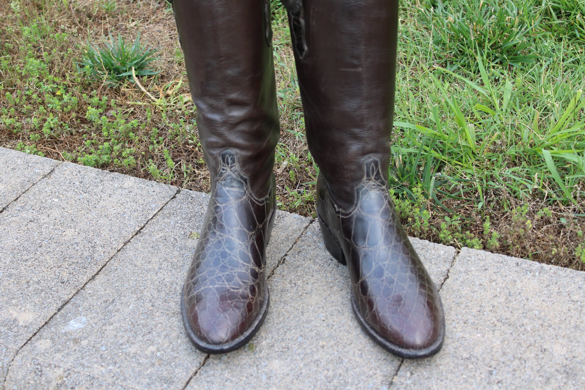 T.O. Stanley T.O. Stanley Chocolate Alligator Belly with Buffalo Calfskin shafts and conchos