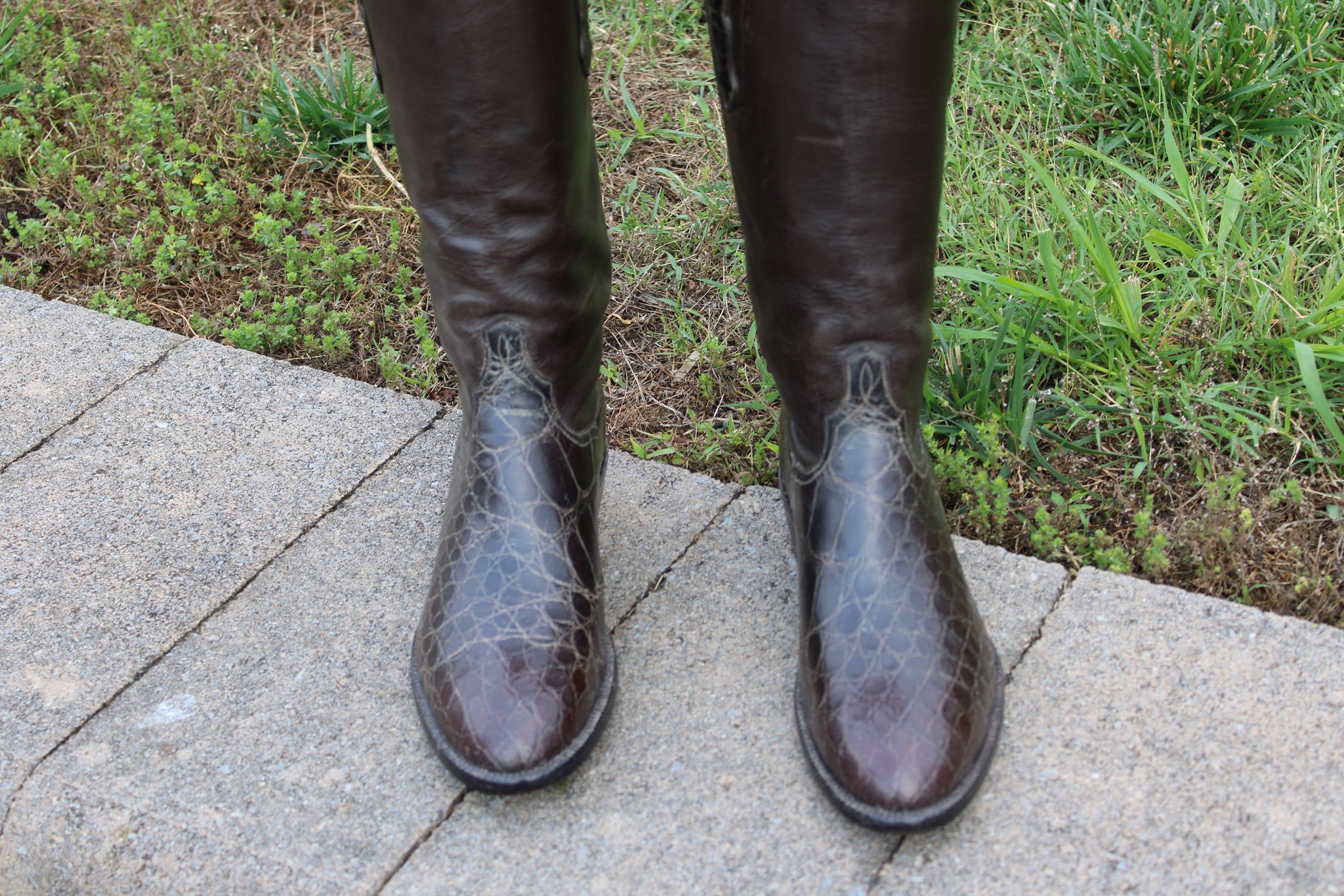 T.O. Stanley T.O. Stanley Chocolate Alligator Belly with Buffalo Calfskin shafts and conchos
