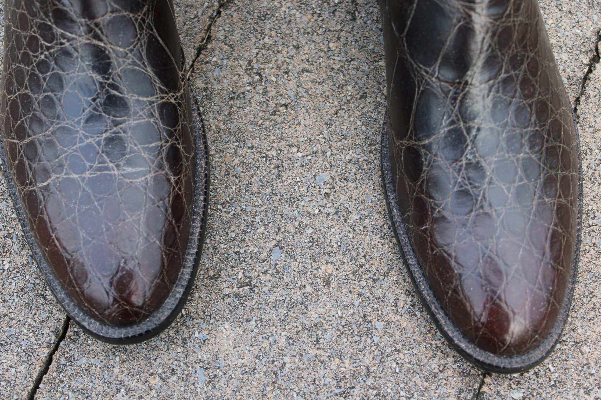T.O. Stanley T.O. Stanley Chocolate Alligator Belly with Buffalo Calfskin shafts and conchos