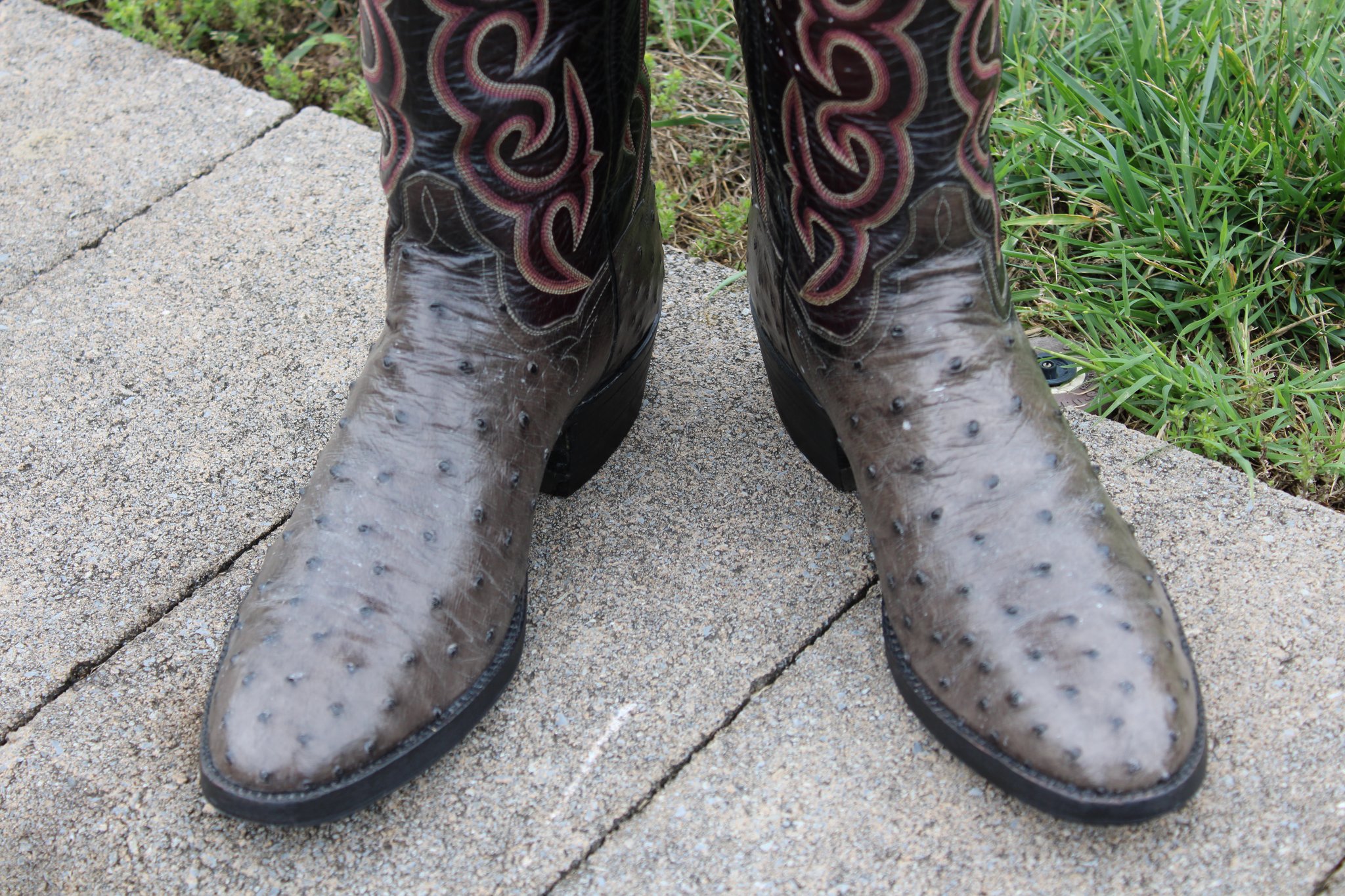 T.O. Stanley T.O. Stanley Grey Full Quill Ostrich Men's Cowboy Boots