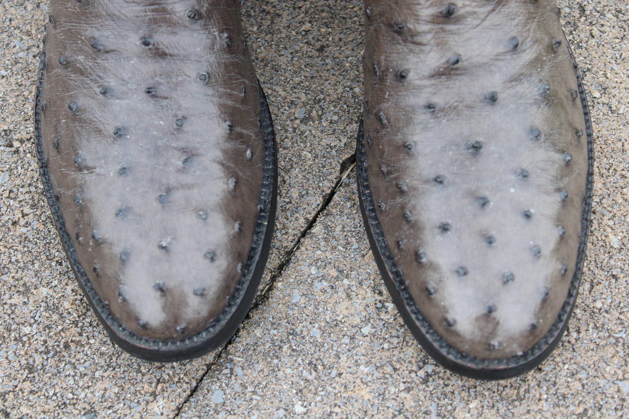 T.O. Stanley T.O. Stanley Grey Full Quill Ostrich Men's Cowboy Boots