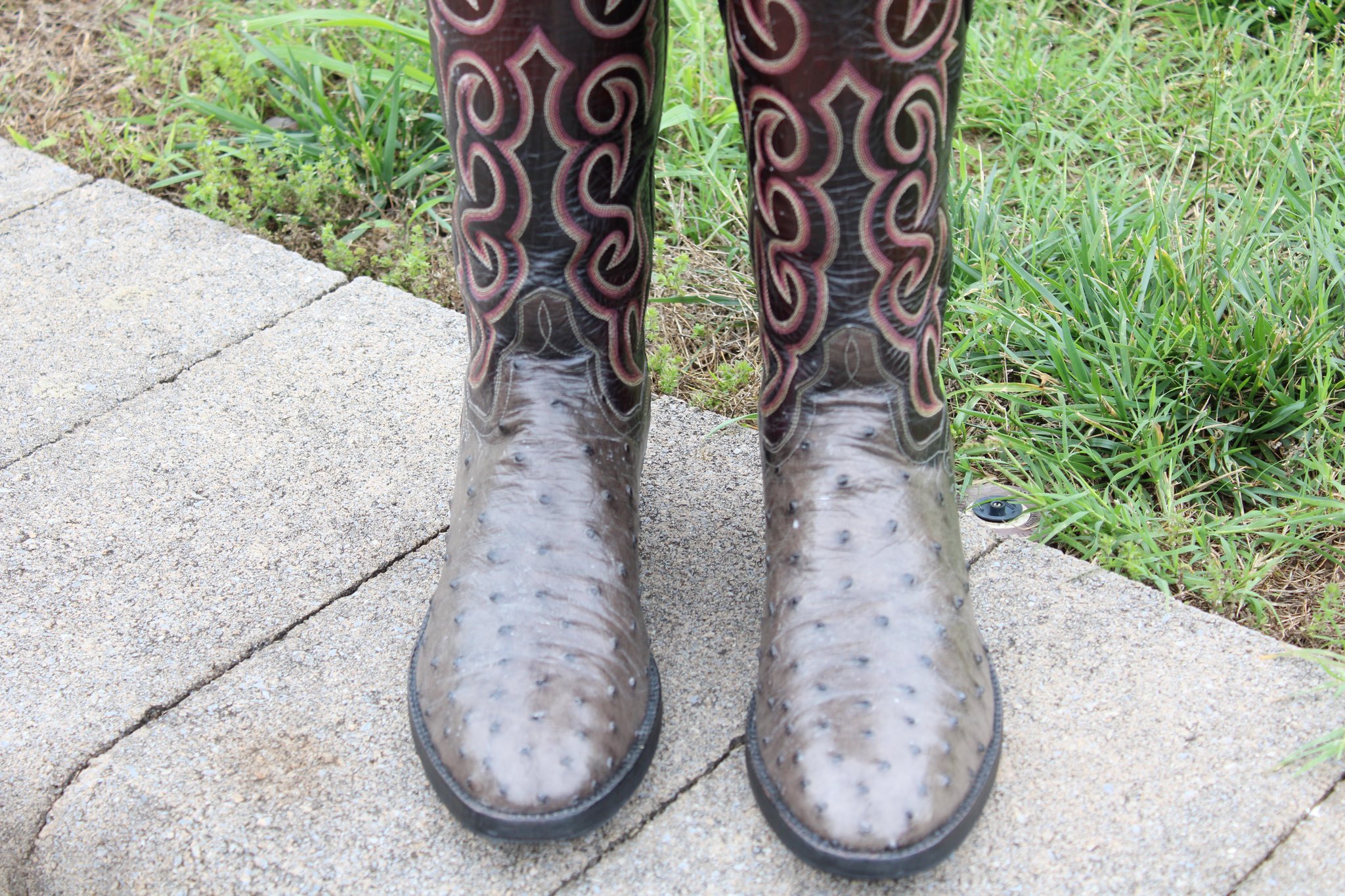 T.O. Stanley T.O. Stanley Grey Full Quill Ostrich Men's Cowboy Boots