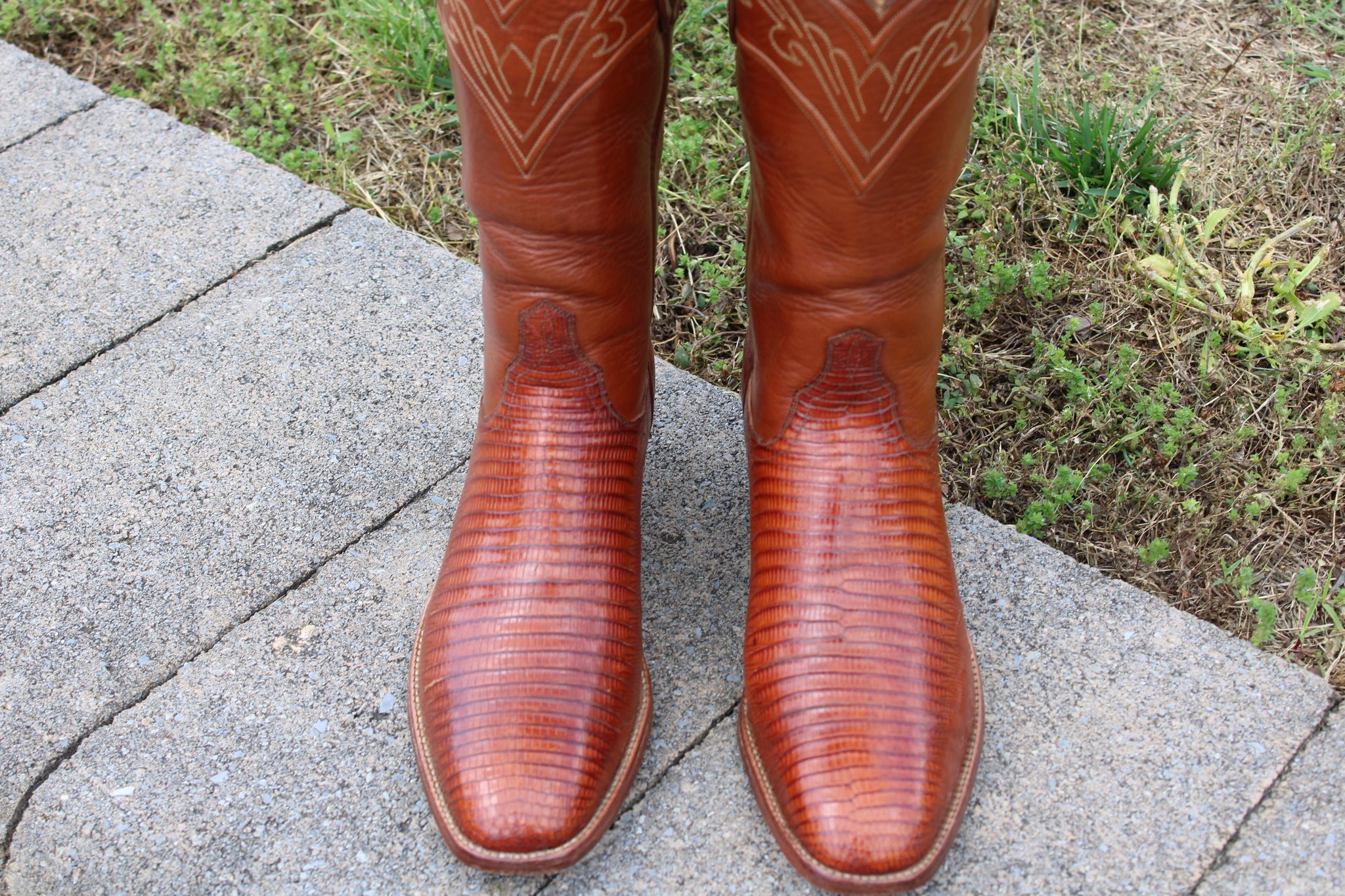 T.O. Stanley Peanut Brittle Lizard French Toe