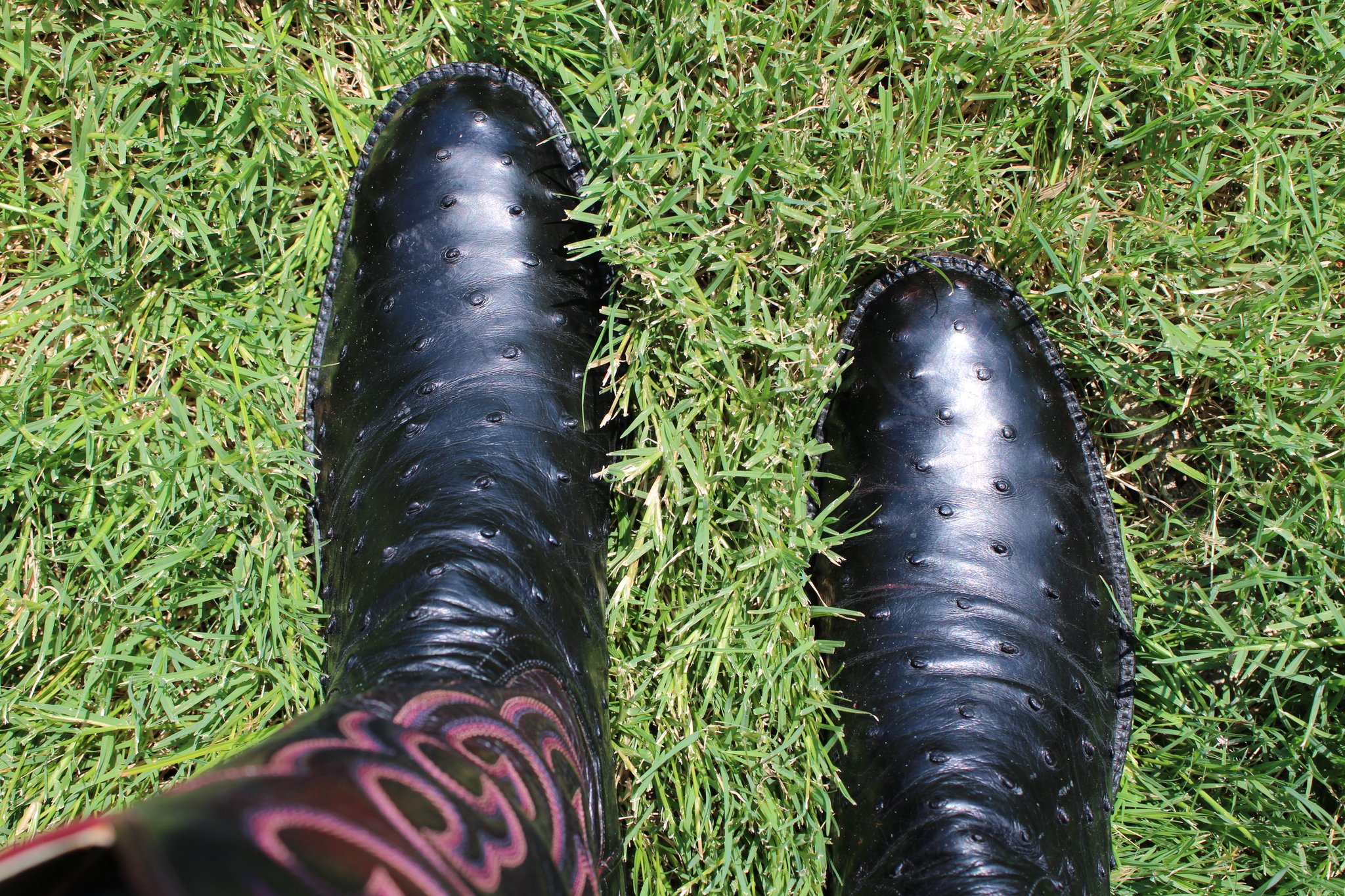 T.O. Stanley T.O. Stanley Black Full Quill Ostrich Men's Cowboy Boots