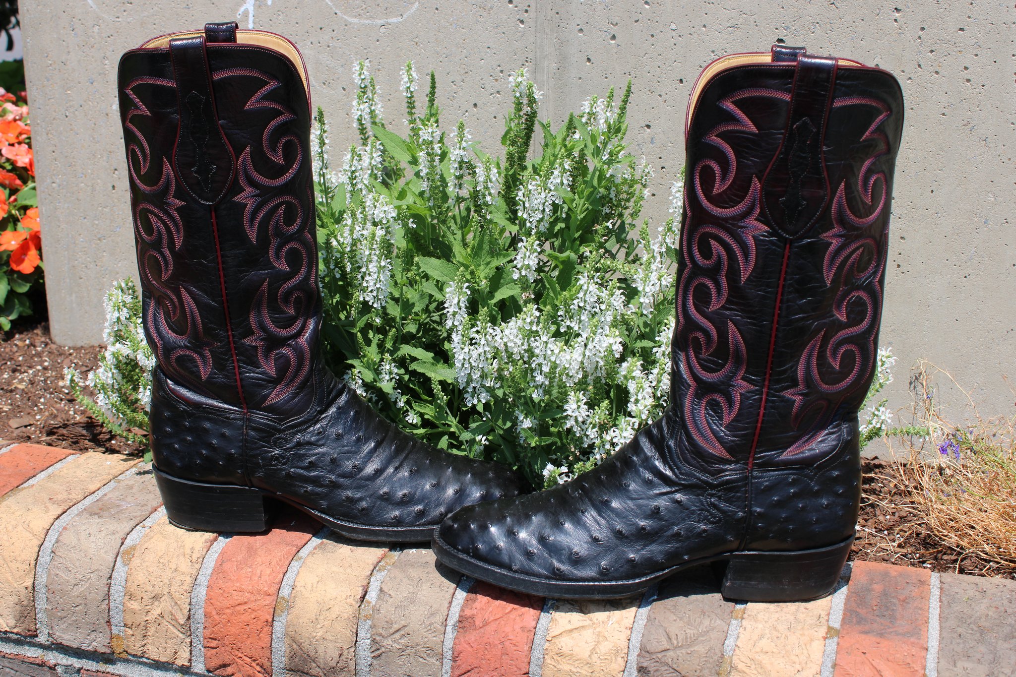 T.O. Stanley T.O. Stanley Black Full Quill Ostrich Men's Cowboy Boots