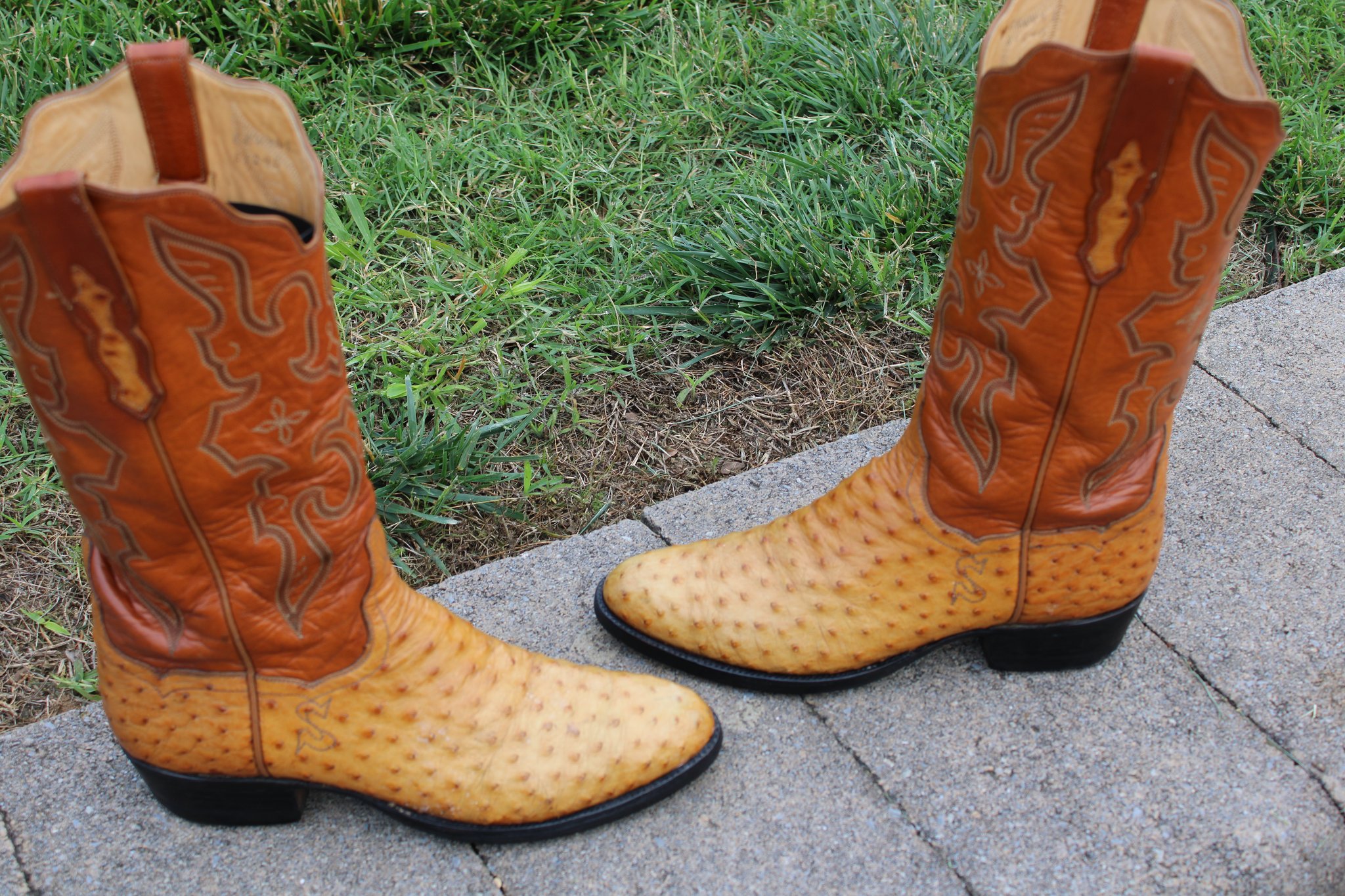 T.O. Stanley Stanley Butterscotch 9.5 D
