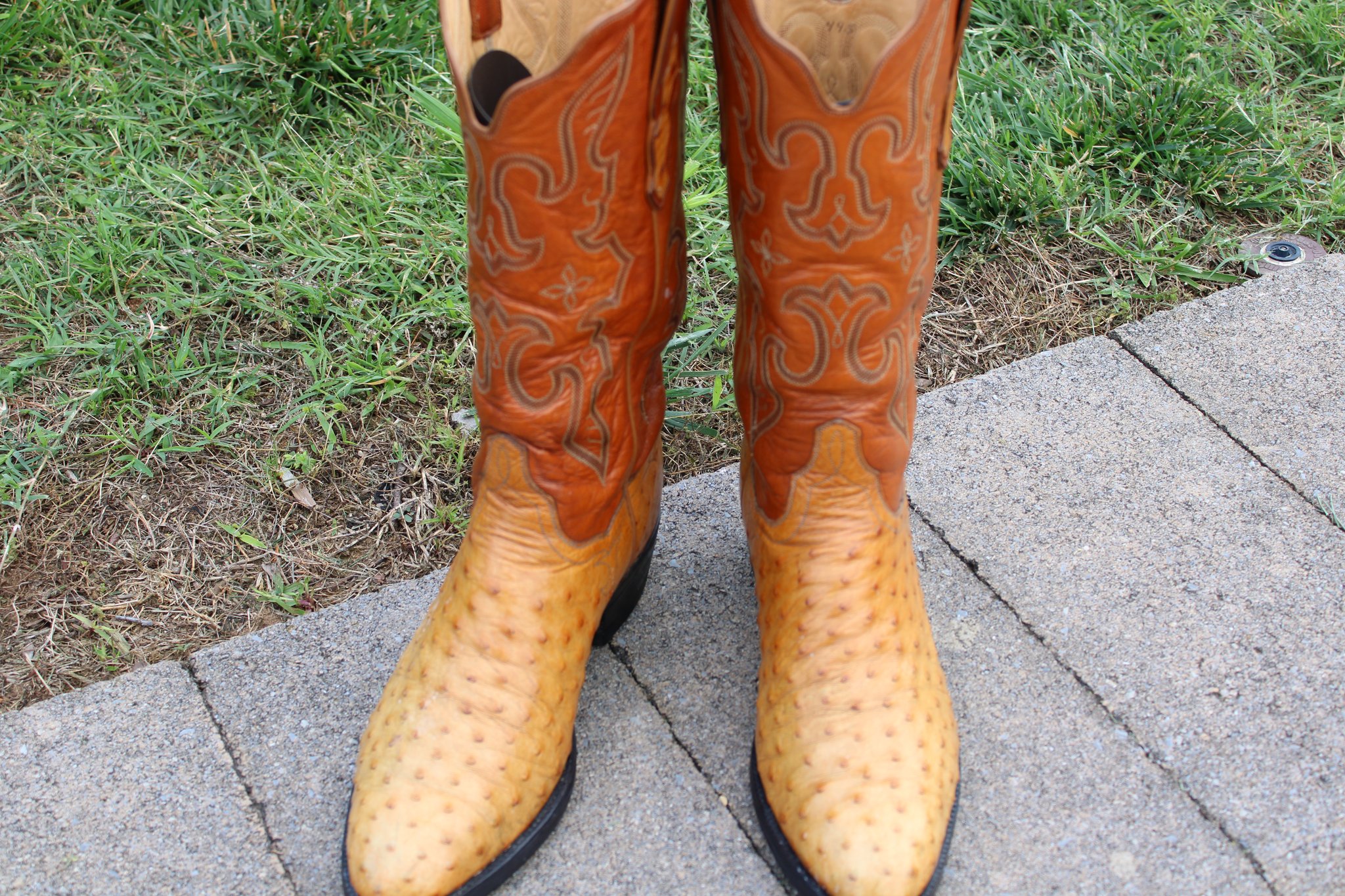 T.O. Stanley Stanley Butterscotch 9.5 D