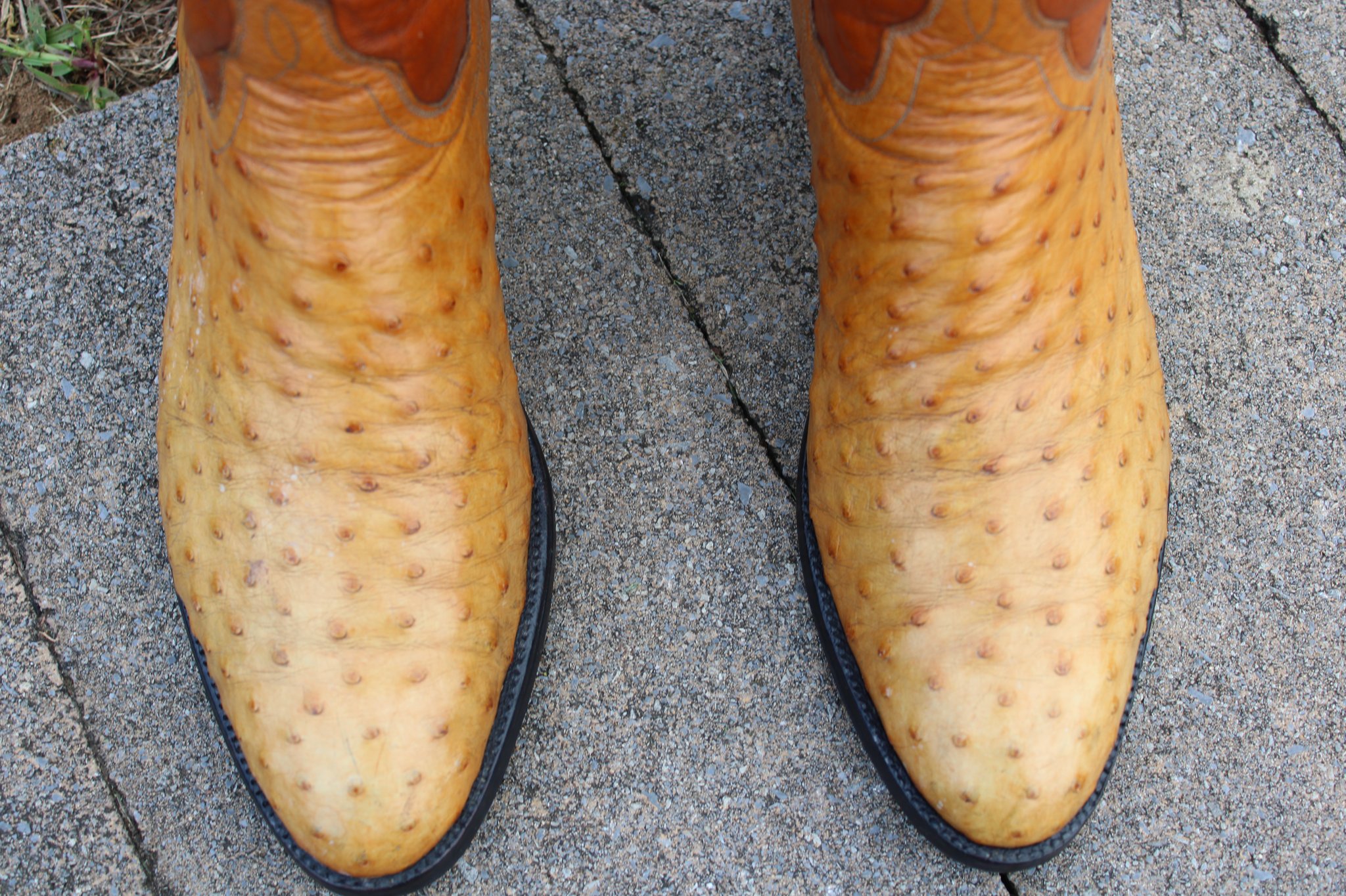 T.O. Stanley Stanley Butterscotch 9.5 D