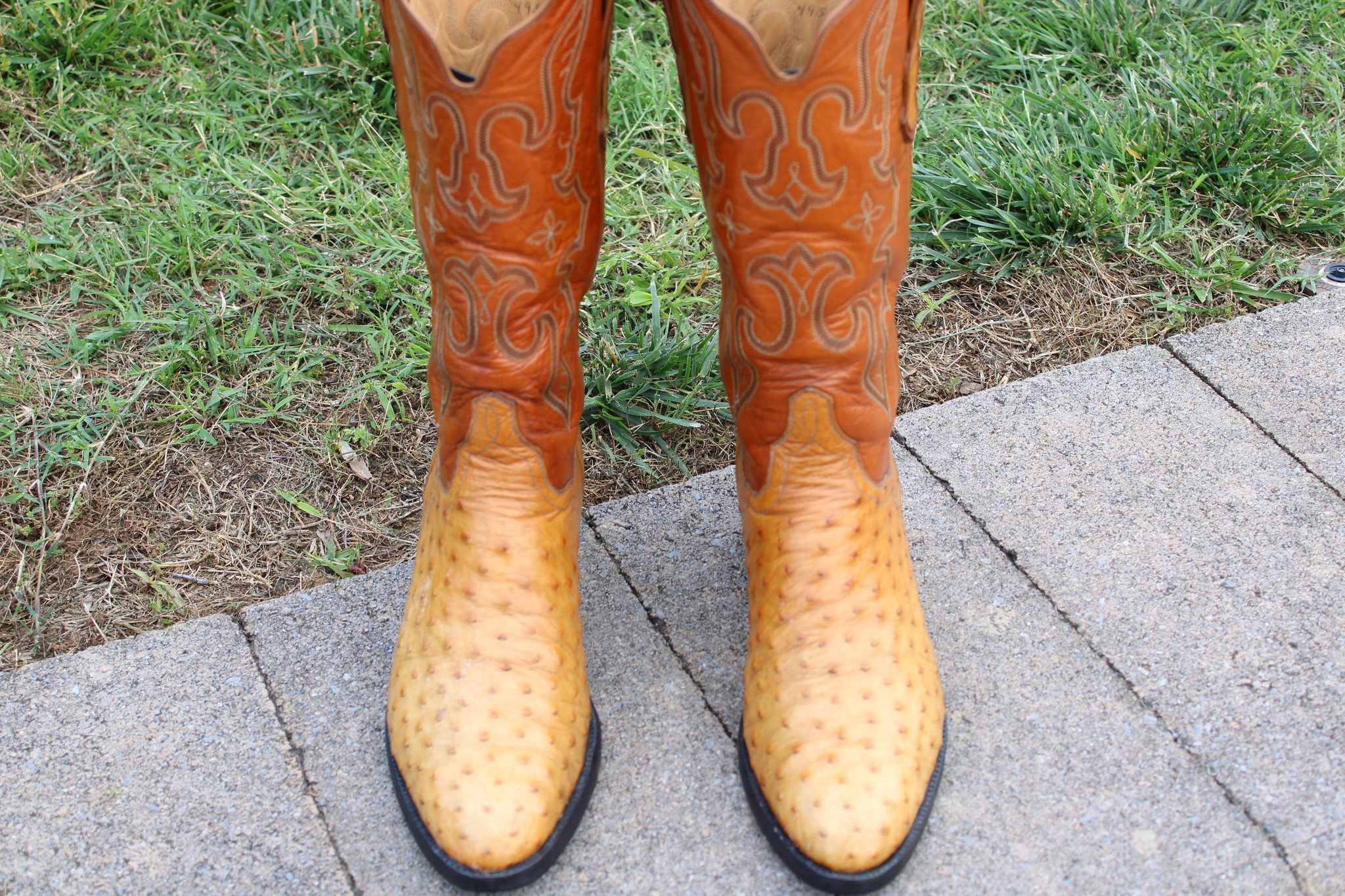 T.O. Stanley Stanley Butterscotch 9.5 D