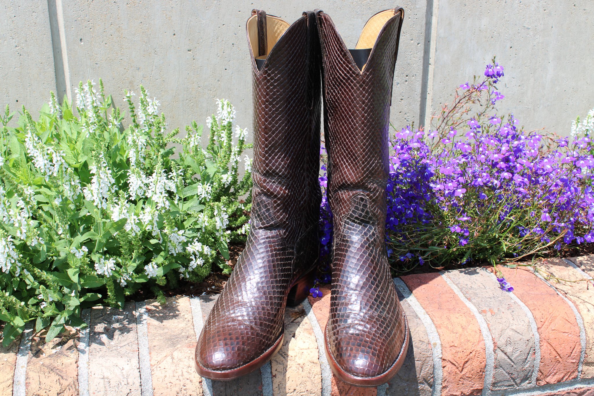 T.O. Stanley Stanley Chocolate Anaconda 9.5 D