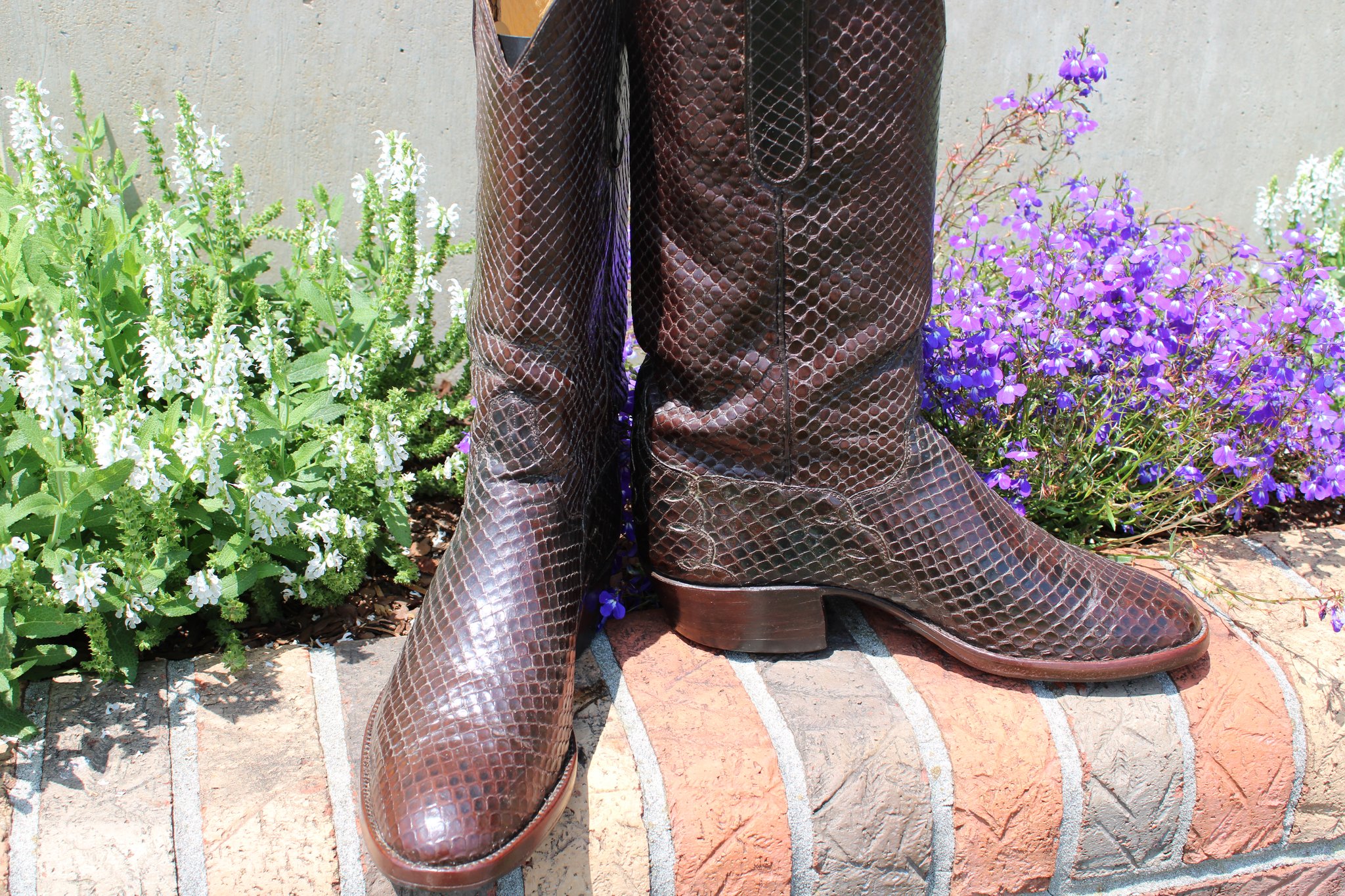 T.O. Stanley Stanley Chocolate Anaconda 9.5 D