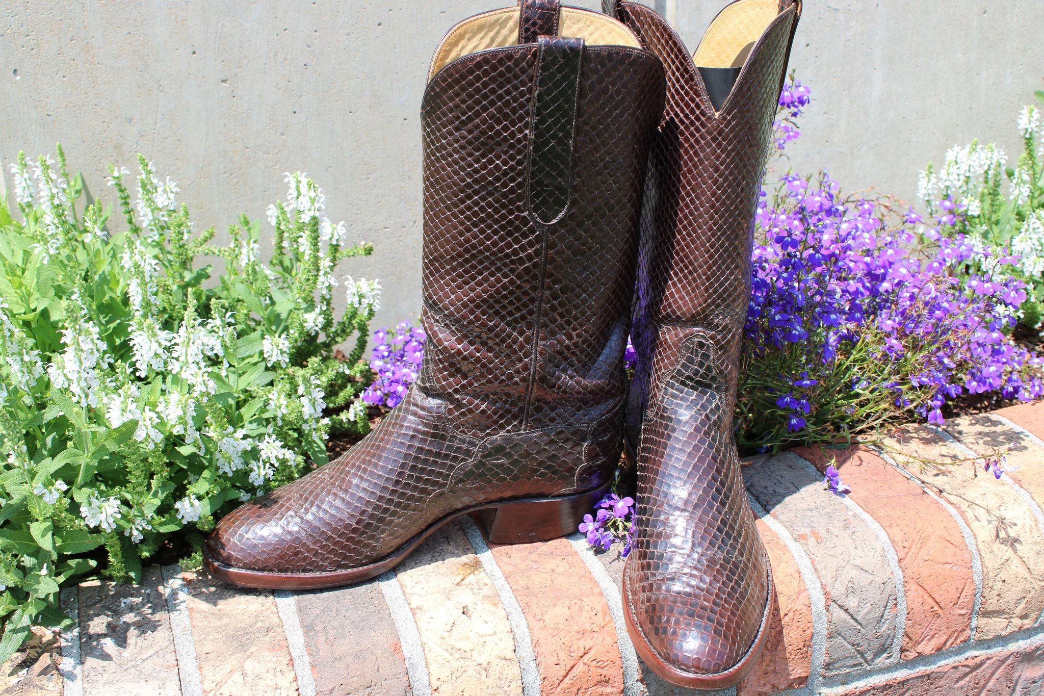T.O. Stanley Stanley Chocolate Anaconda 9.5 D