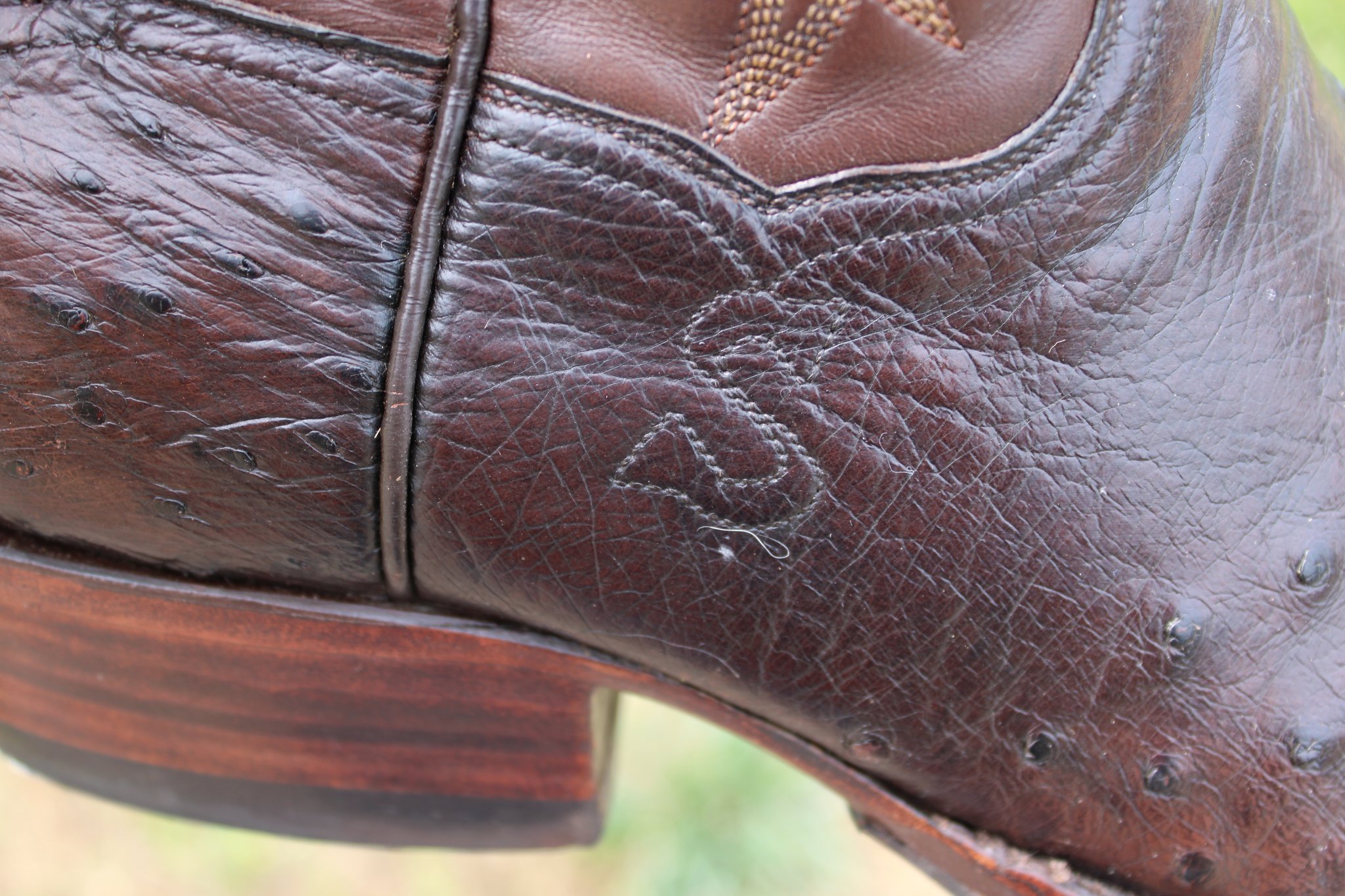 T.O. Stanley Stanley Chocolate Ostrich 10.5 C