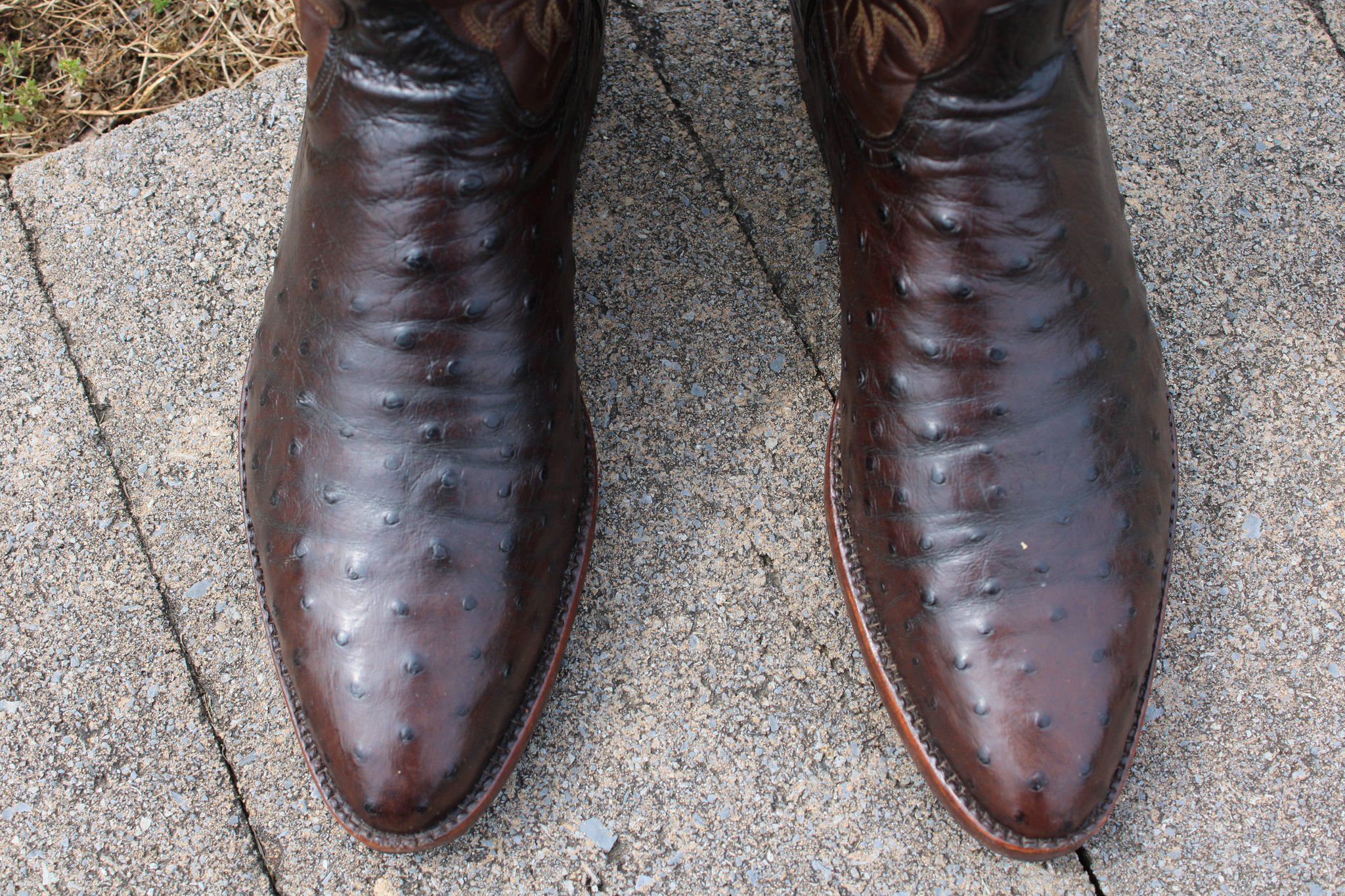 T.O. Stanley Stanley Chocolate Ostrich 10.5 C