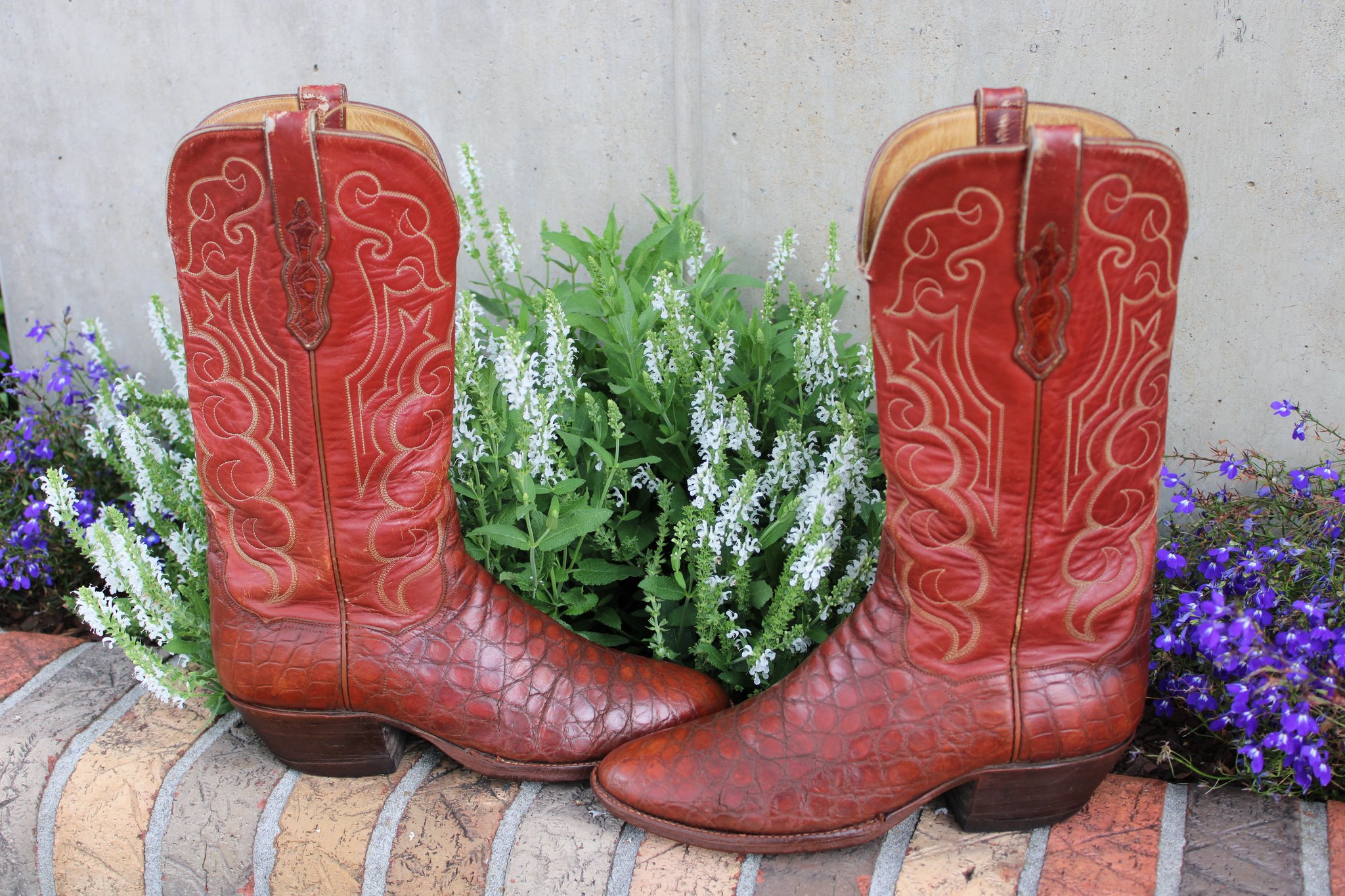 T.O. Stanley Stanley Cognac Alligator 9.5 D