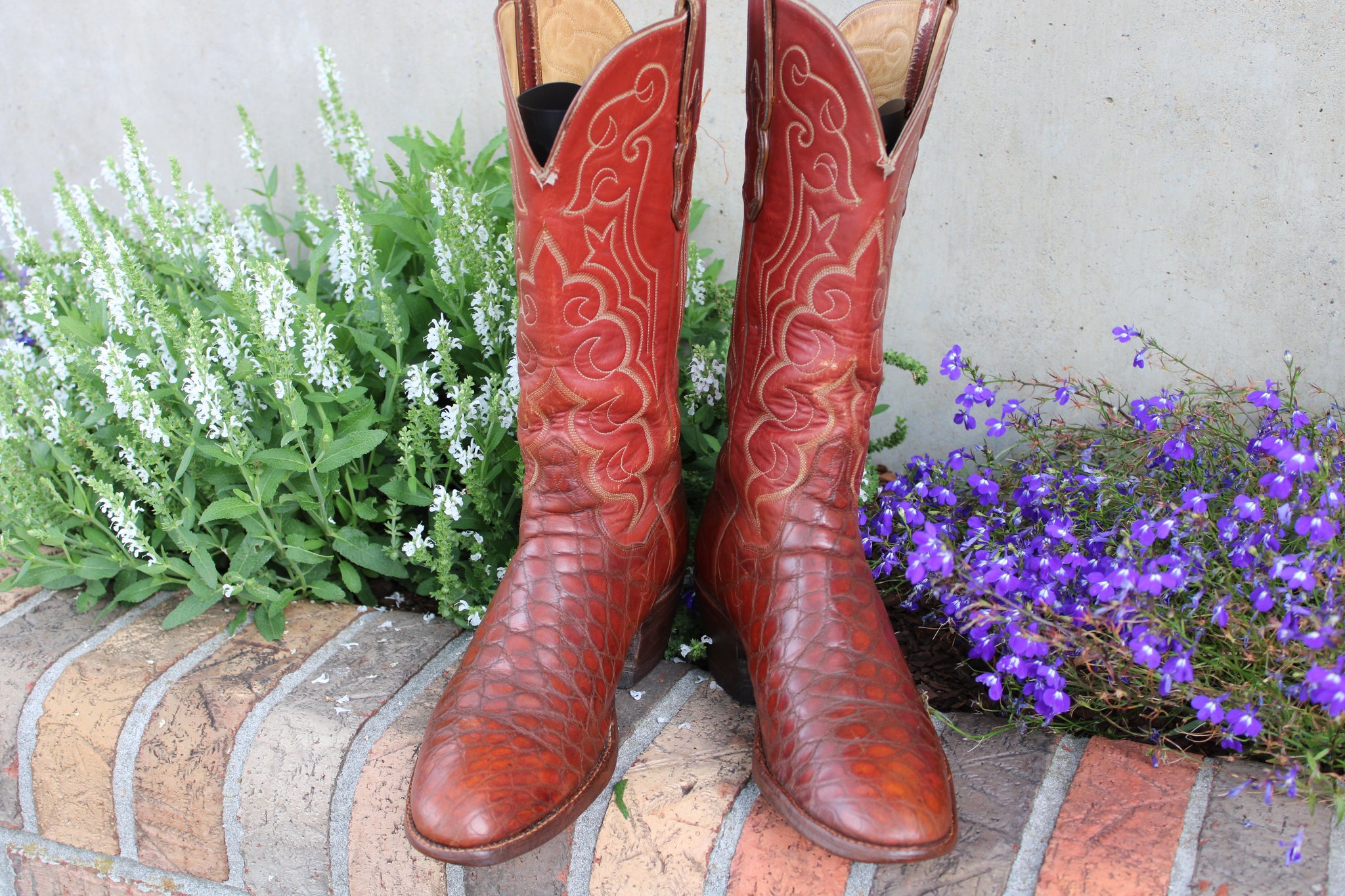 T.O. Stanley Stanley Cognac Alligator 9.5 D