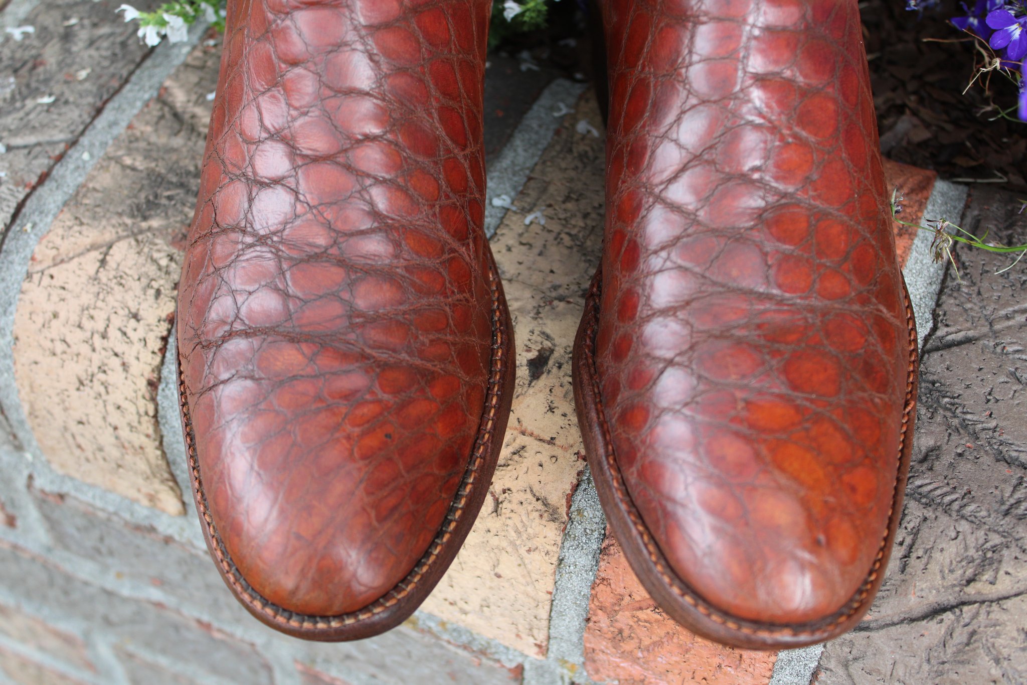 T.O. Stanley Stanley Cognac Alligator 9.5 D
