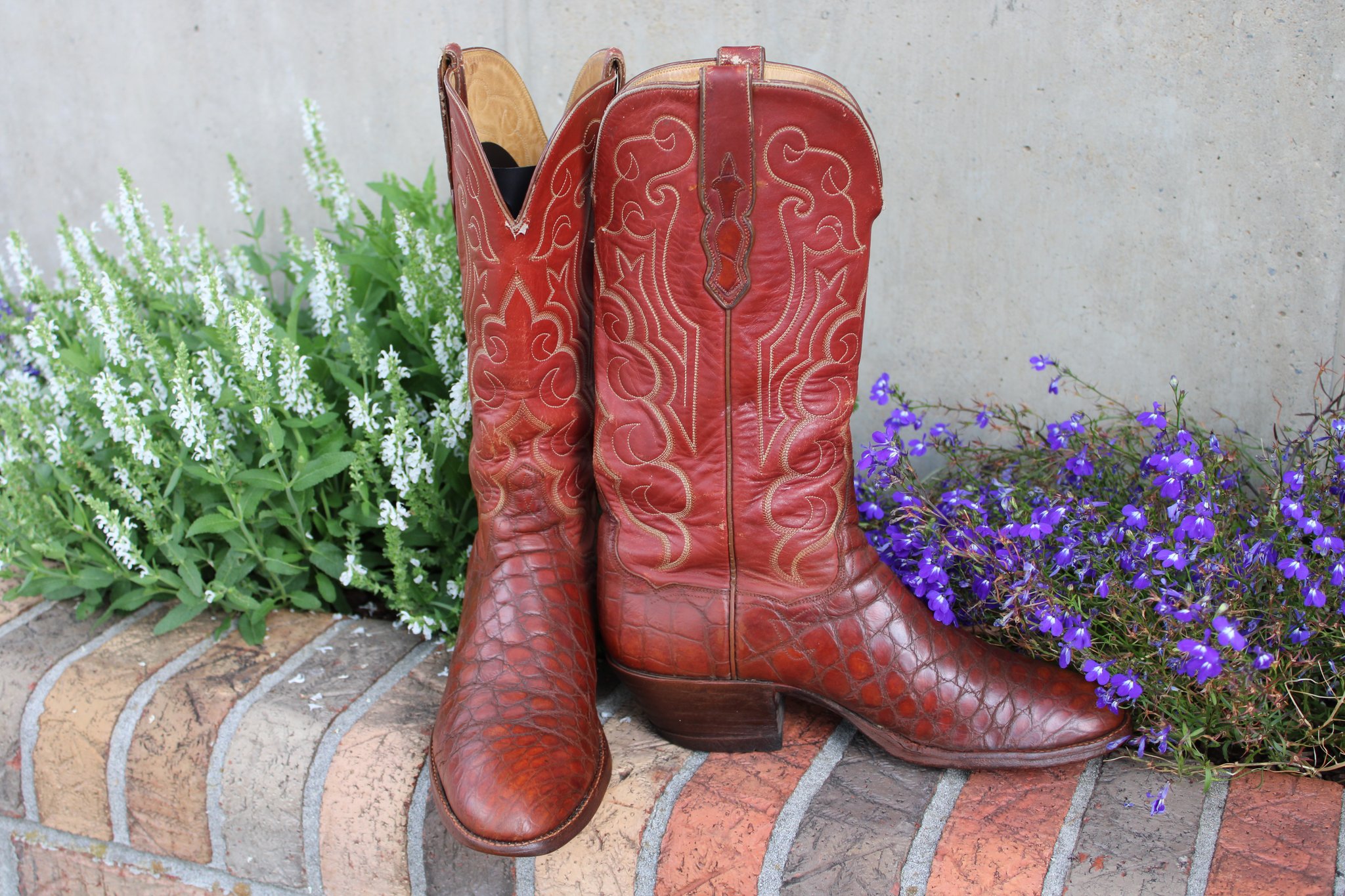 T.O. Stanley Stanley Cognac Alligator 9.5 D