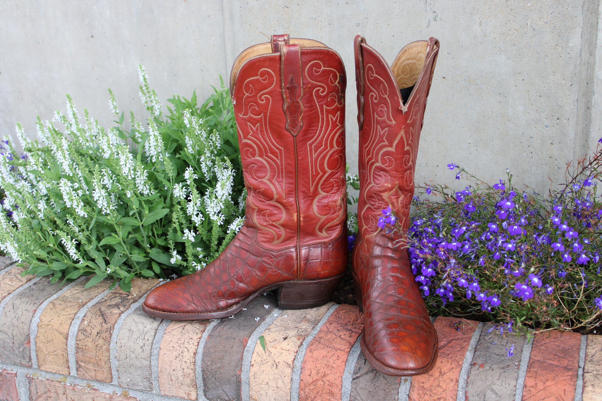 T.O. Stanley Stanley Cognac Alligator 9.5 D