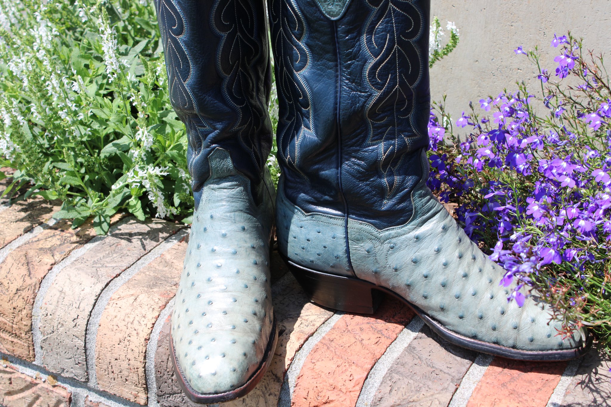 T.O. Stanley Stanley FQ Blue Ostrich French 9 D