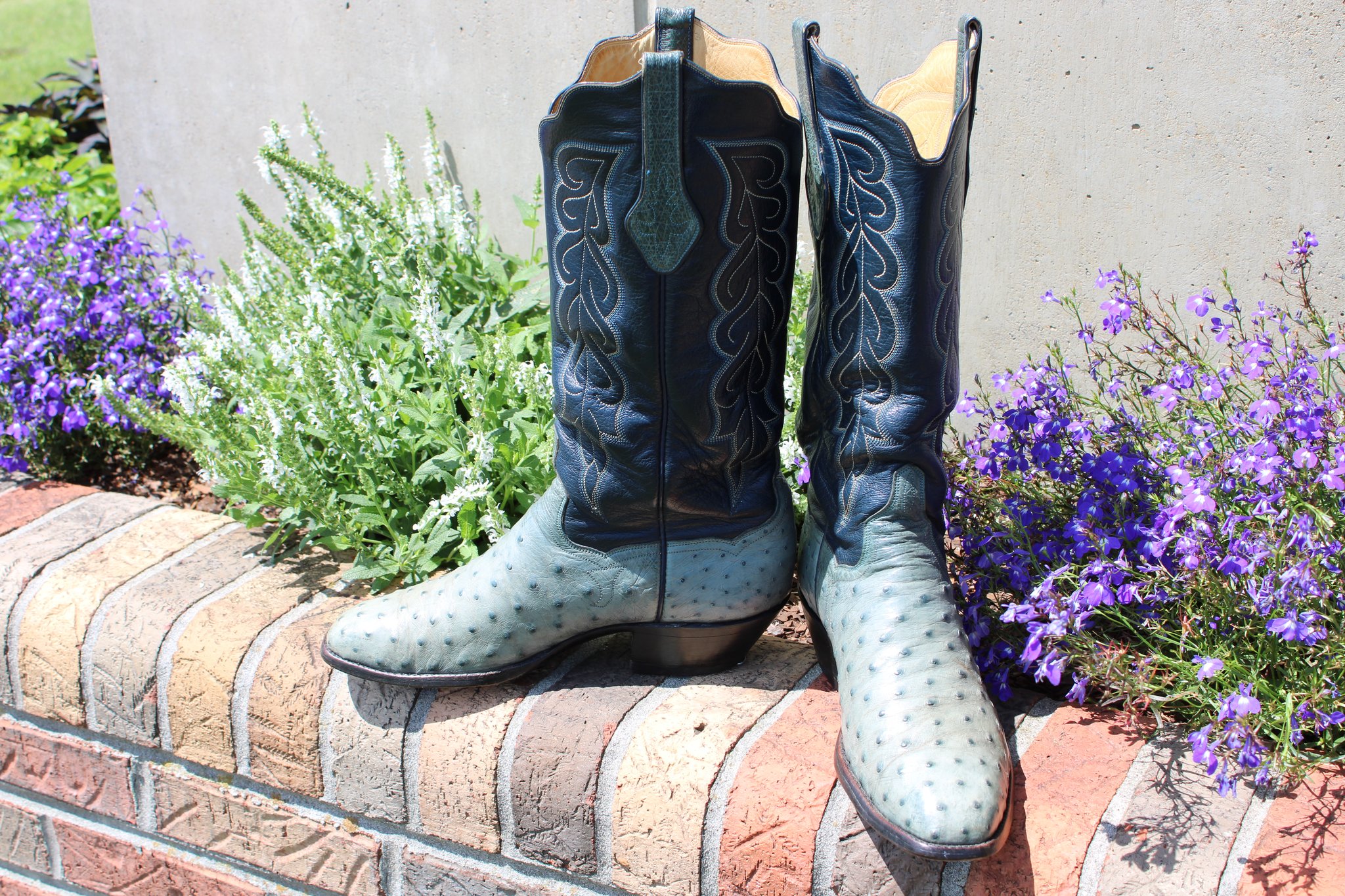 T.O. Stanley Stanley FQ Blue Ostrich French 9 D