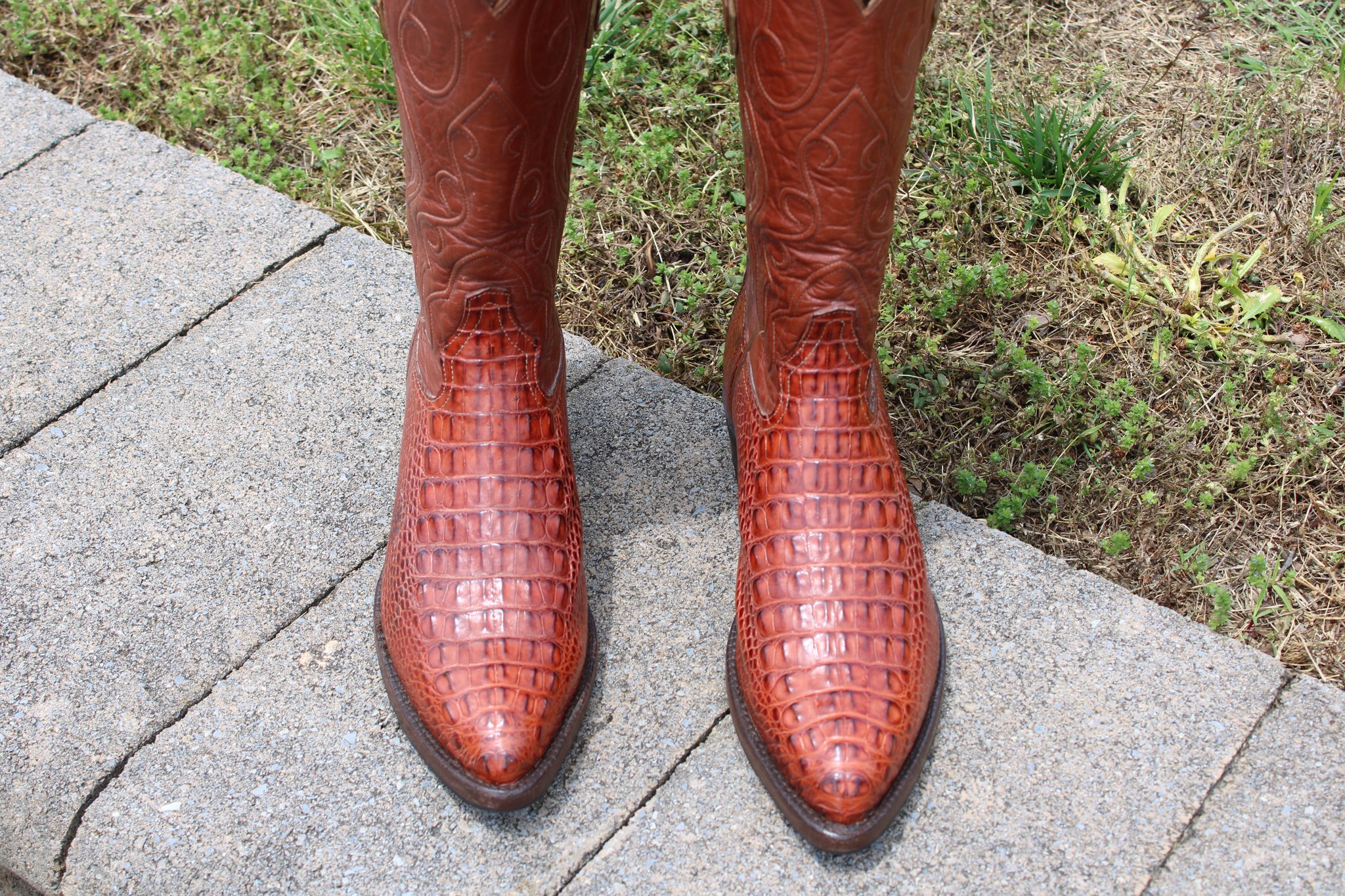 Caiman Hornback cut 3