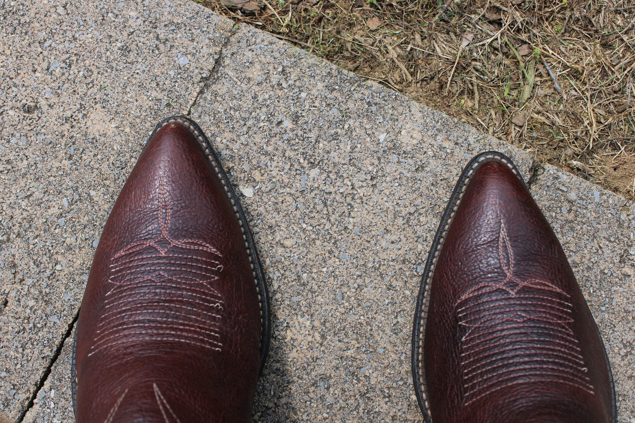 Bullhide real example 6