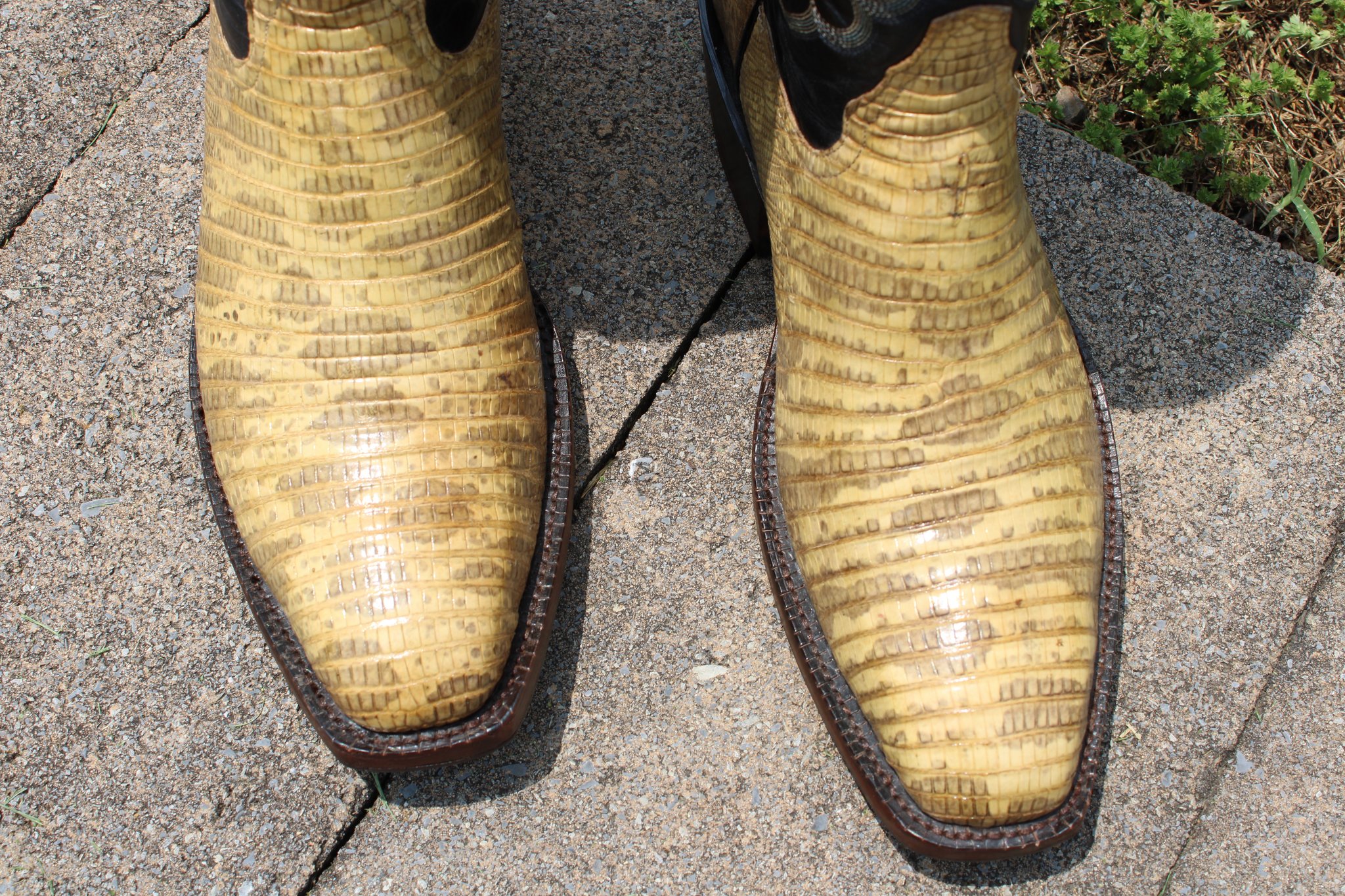 Tony Lama Natural Teju Lizard 9.5 D