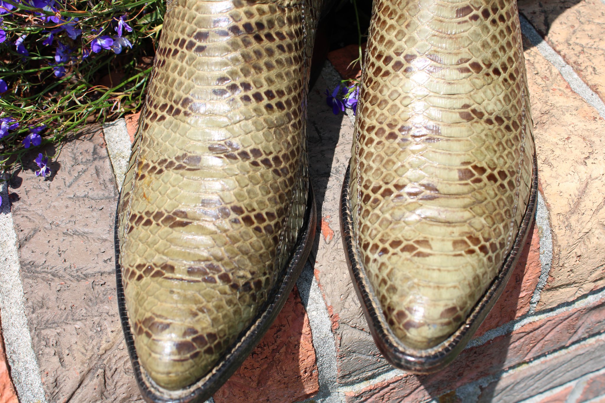 Tiger Snake real example 4