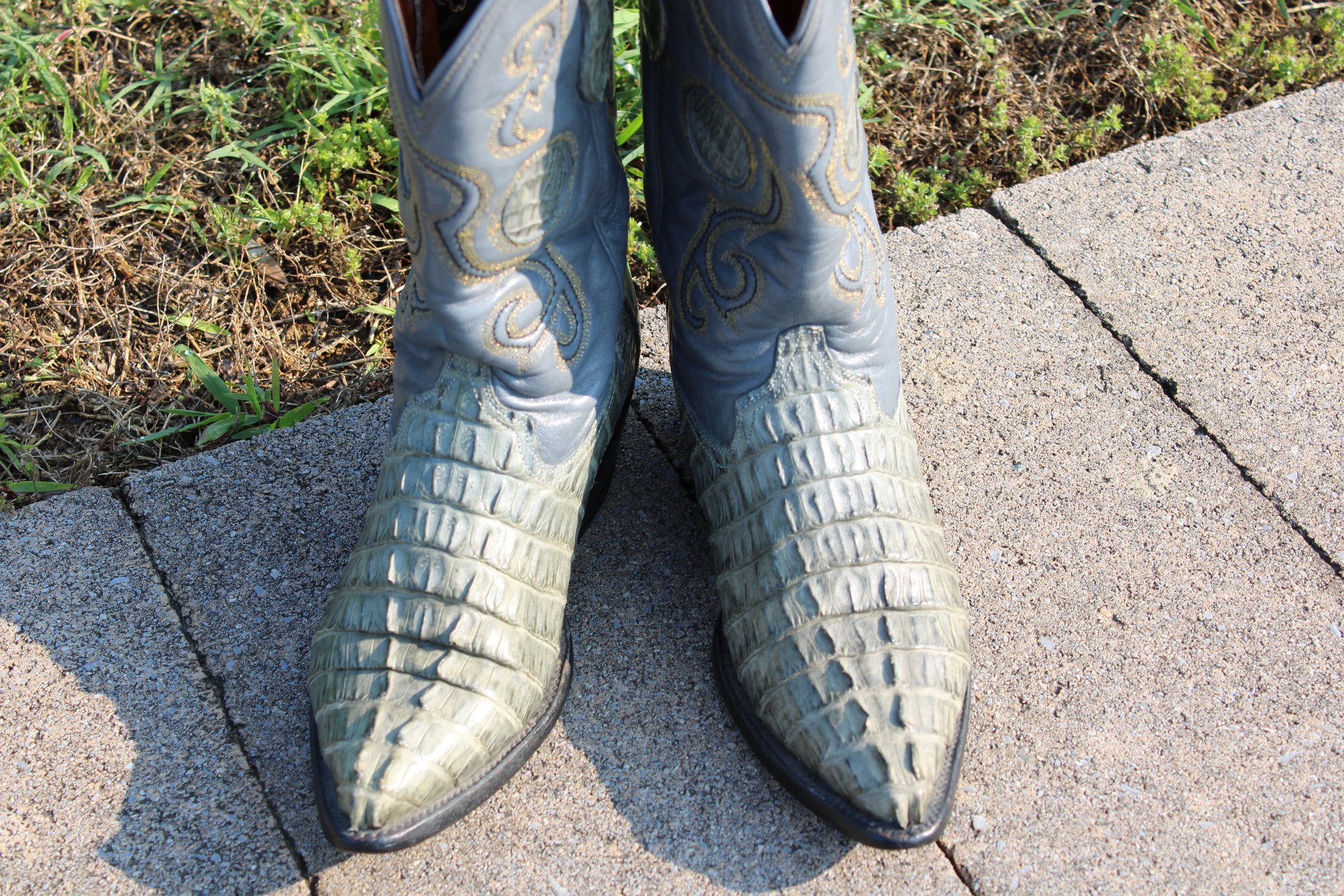 Unknown Caiman Tail 4 D