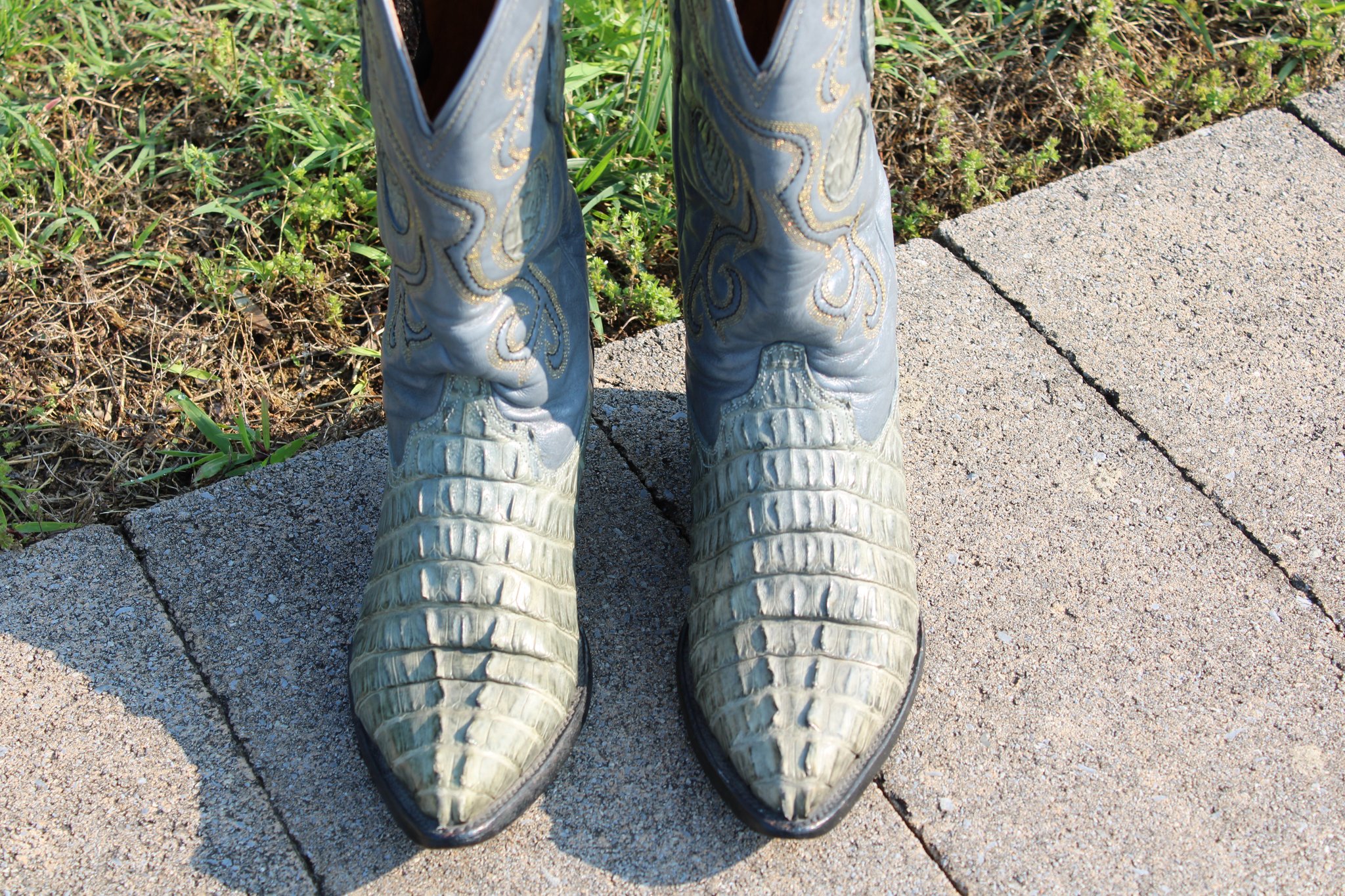 Unknown Caiman Tail 4 D