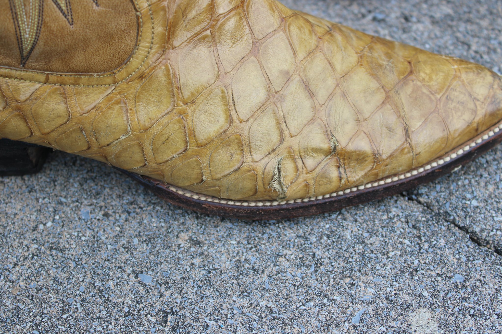 Unknown Rios Style Preban Anteater Tan