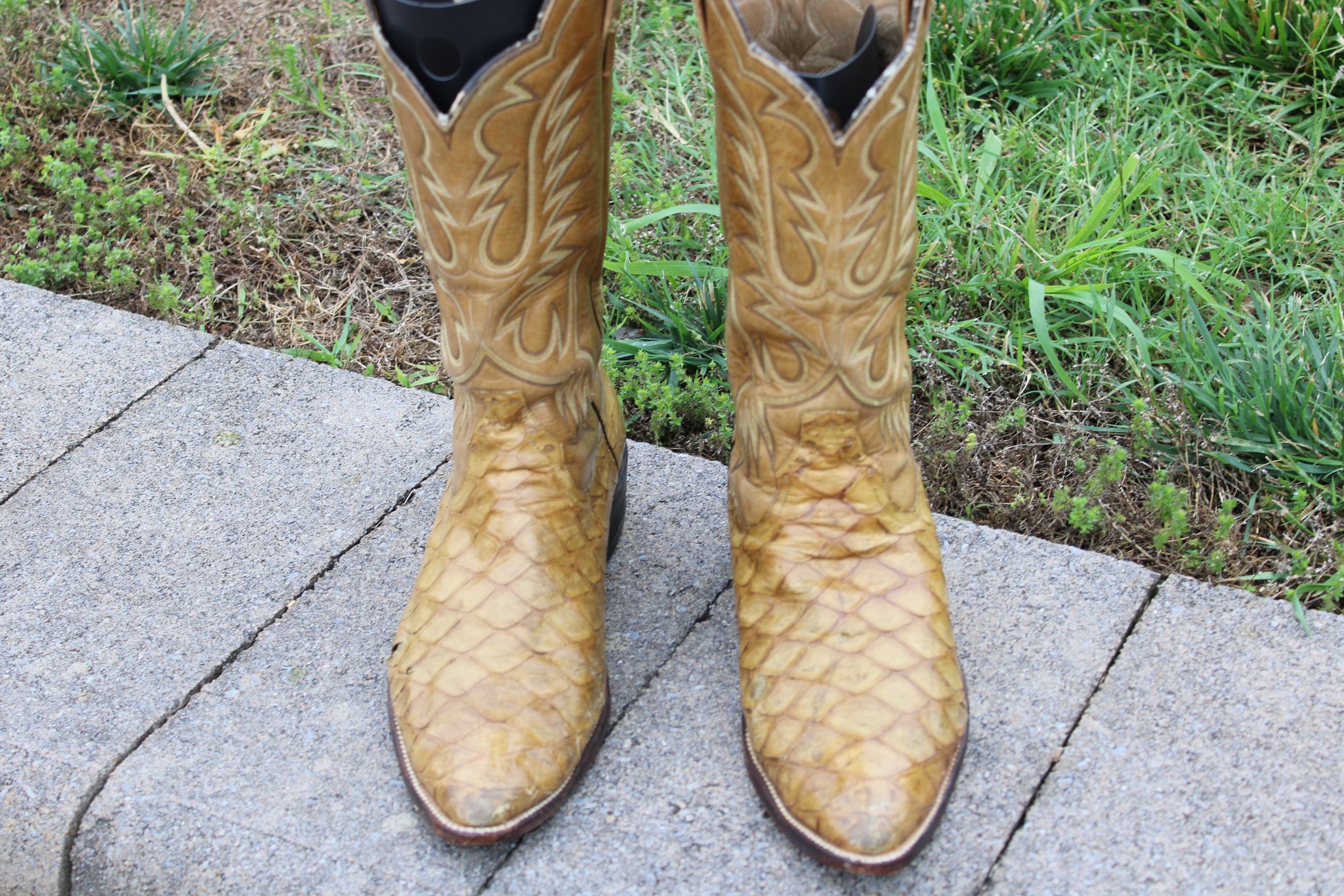 Unknown Rios Style Preban Anteater Tan