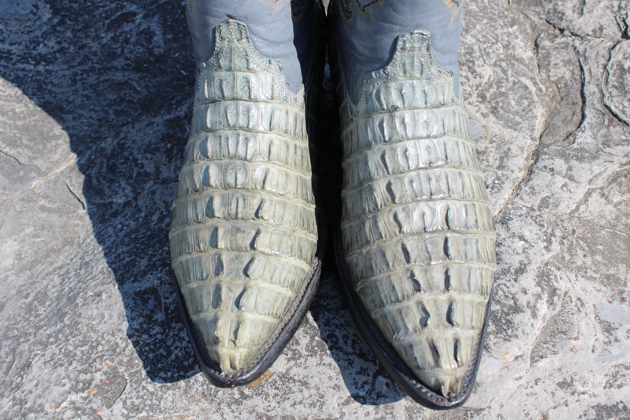 Unknown Unknown Caiman Snip Size 4