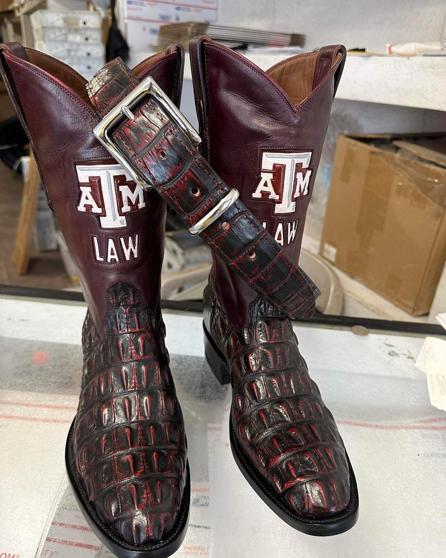 Alligator Hornback cut 4